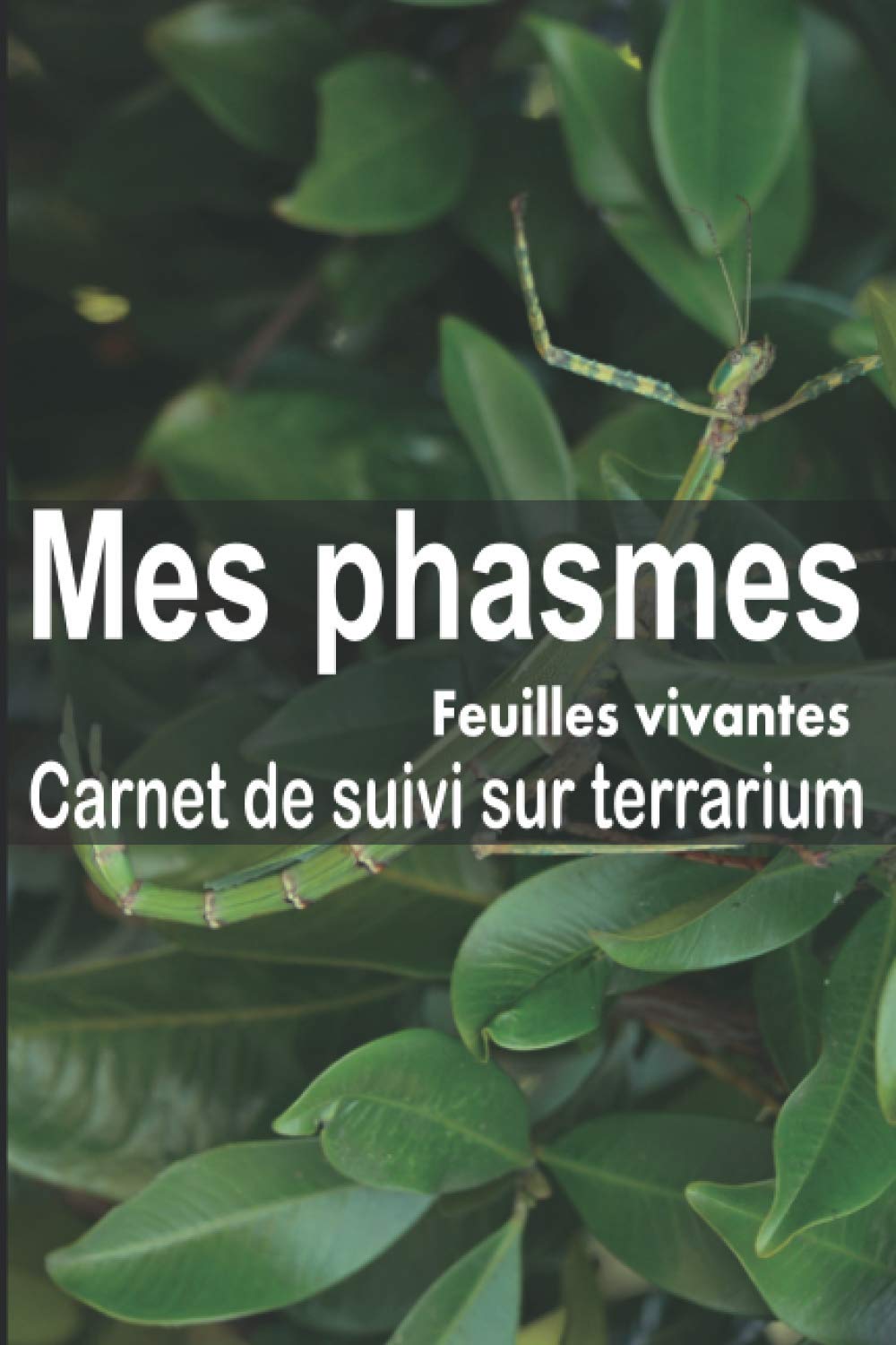 Mes phasmes carnet de suivi sur terrarium: Ayez avec vous le carnet idéal pour le suivi du quotidien de vos phasmes | Format pratique 15 x 23 cm 100 pages | Contient des fiches à remplir Mathematics