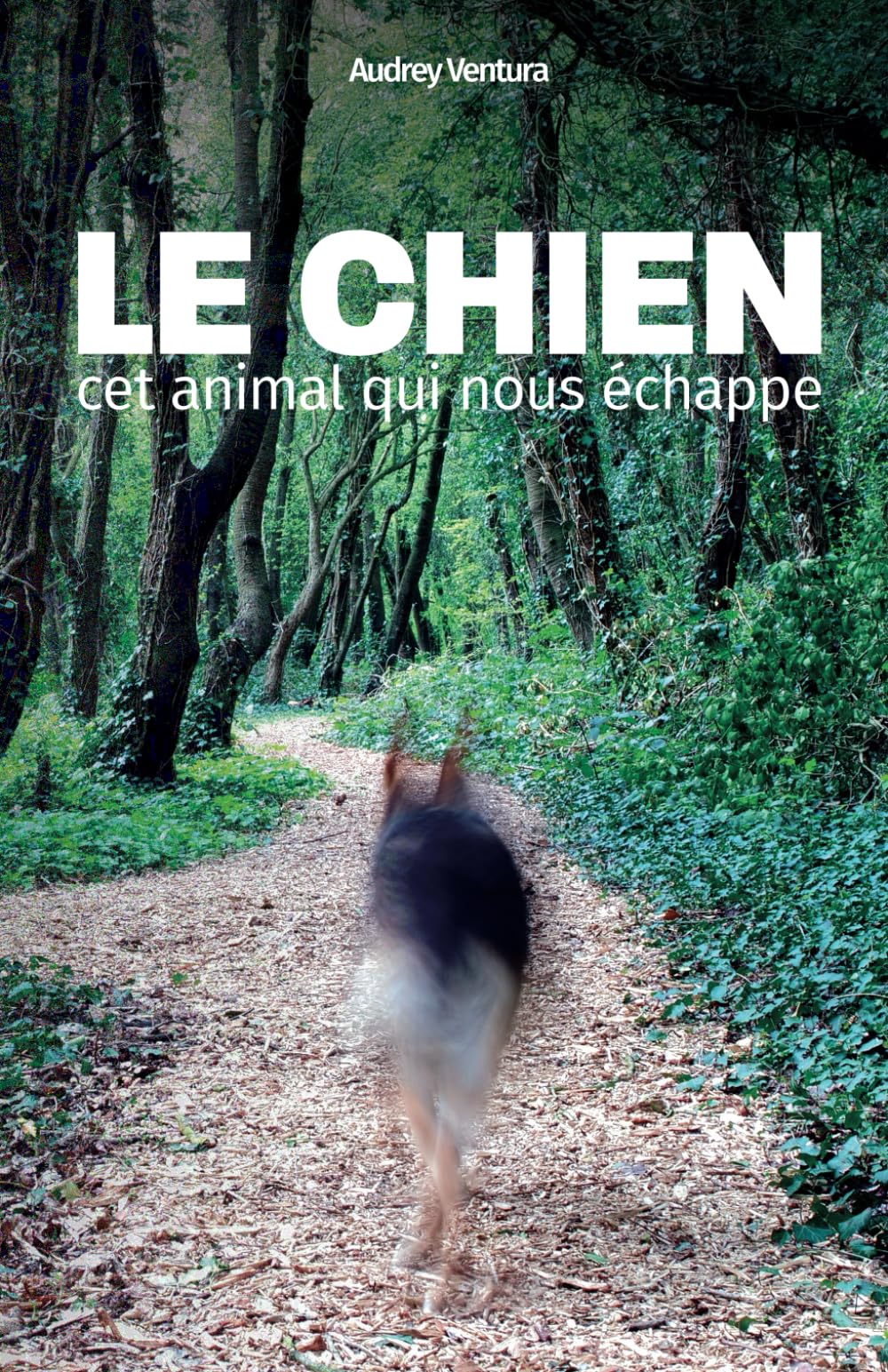 Le chien, cet animal qui nous échappe Pets