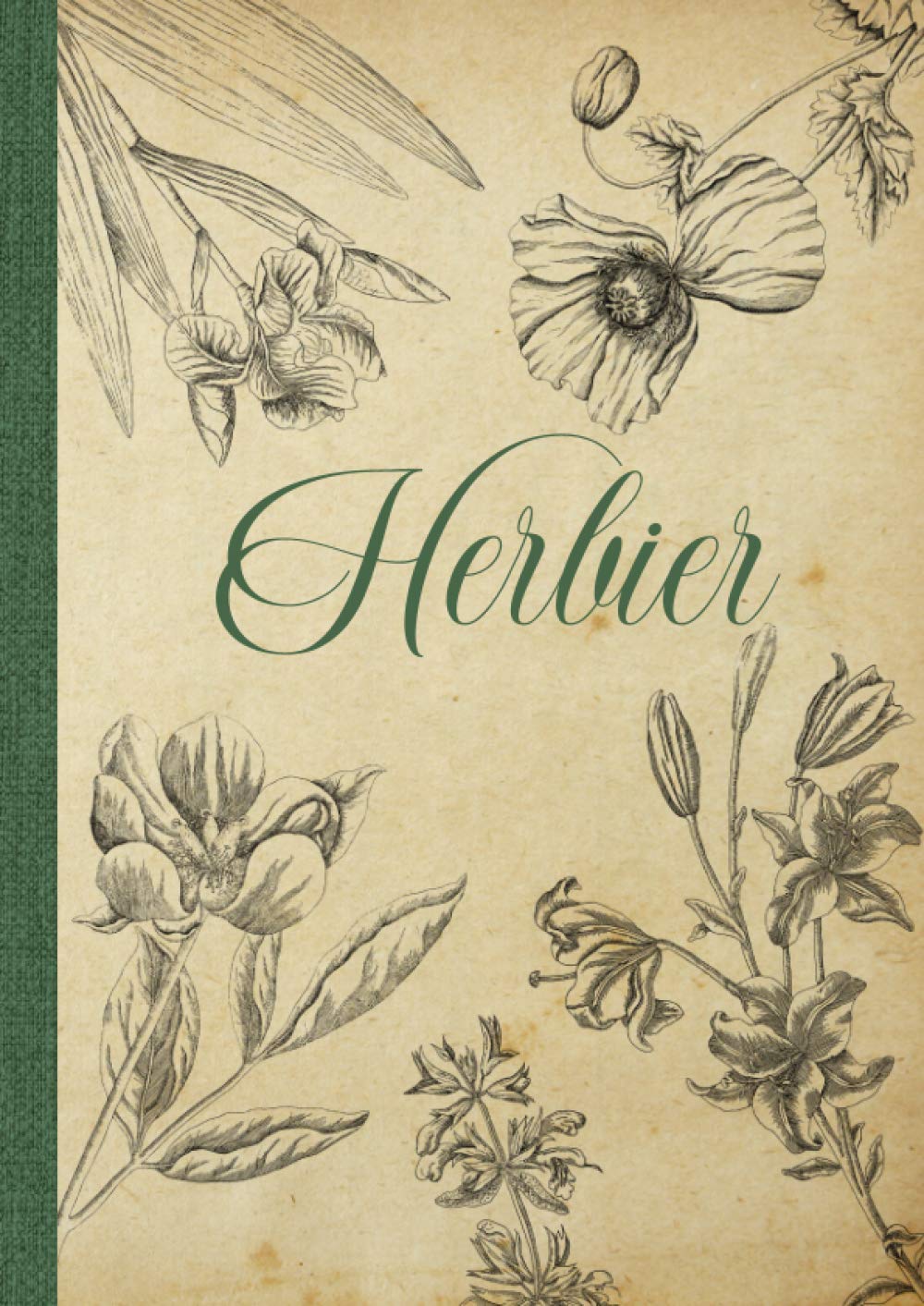 Herbier: Vierge à Remplir pour Conserver Feuilles, Fleurs et Plantes Séchées | Convient aux Enfants comme aux Adultes | Cahier pour Herbier au Format A4 Non-fiction