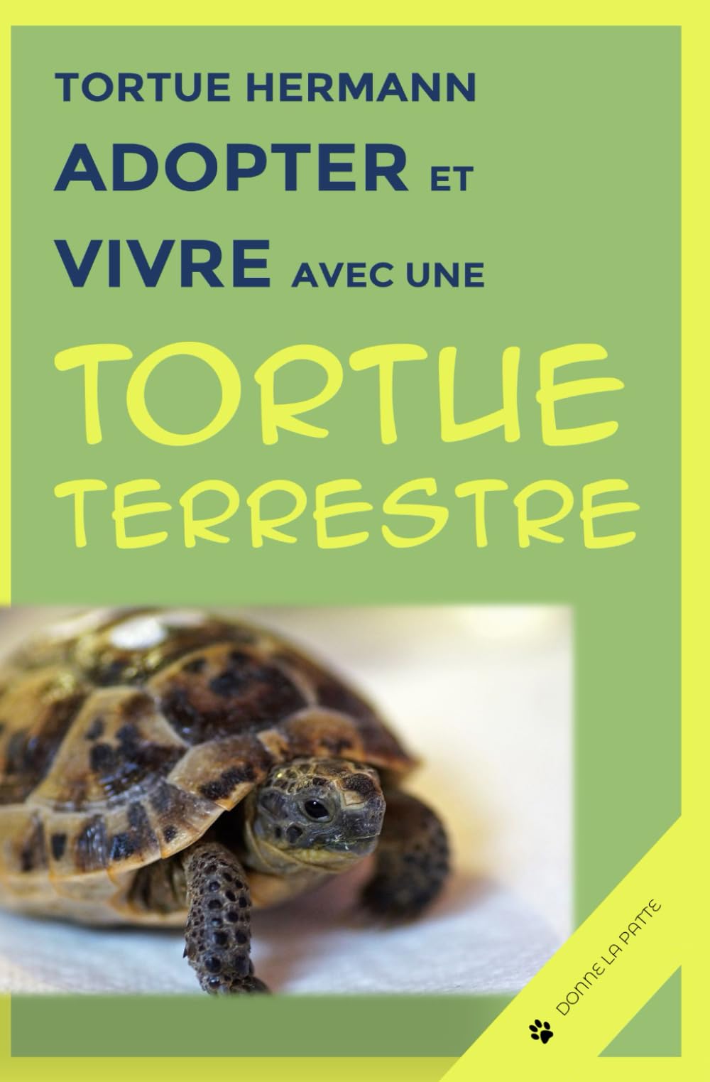 Tortue Hermann : adopter et vivre avec une tortue terrestre Pets
