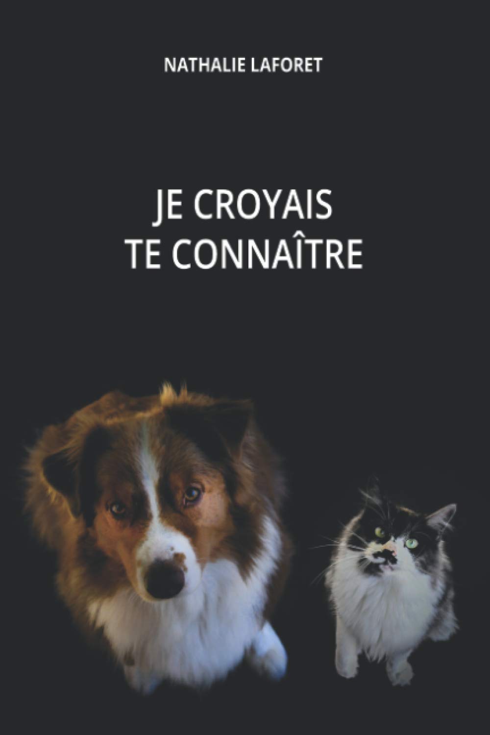 Je croyais te connaître Contemporary literature