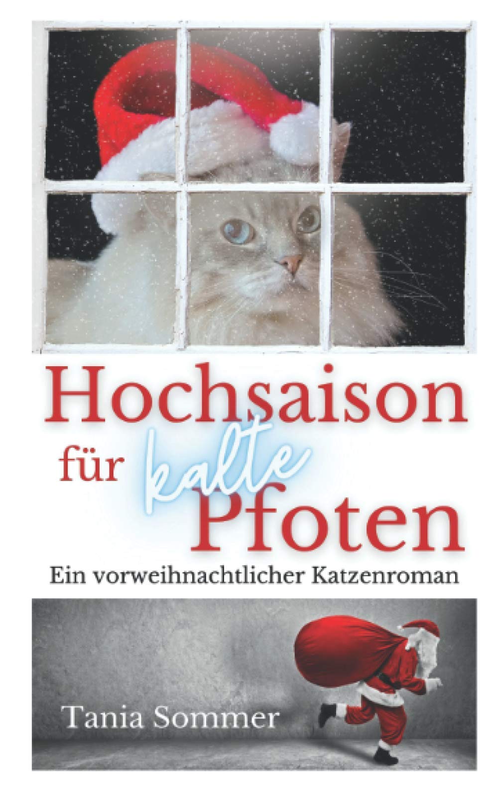 Hochsaison für kalte Pfoten: Ein vorweihnachtlicher Katzenroman (Humorvolle Katzengeschichten, Band 2) Humour & Satire