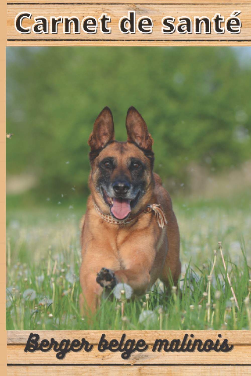 CARNET DE SANTE BERGER BELGE MALINOIS: Mon cahier de suivi santé chien Berger belge malinois à remplir ou compléter | Mon carnet santé chien | ... Format: 15,24 cm sur 22,86 cm 101 pages book