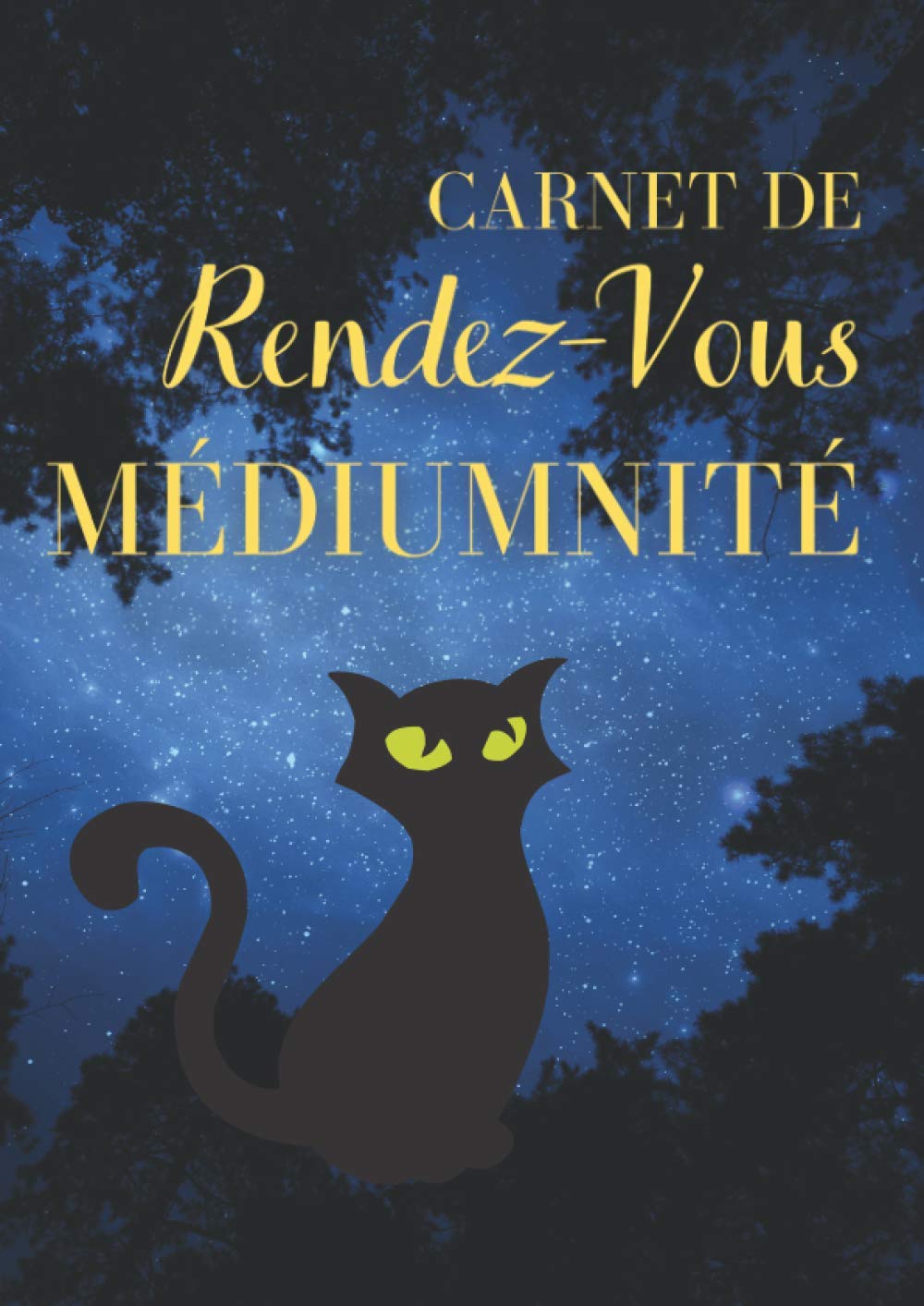 Carnet de Rendez-Vous médiumnité: agenda thématique pour noter vos RDV sur 52 semaines ( intervalle de 15 minutes, 8h à 21h ) | idéal pour consultation tarot, médium, radiesthésie | Grand format A4 book