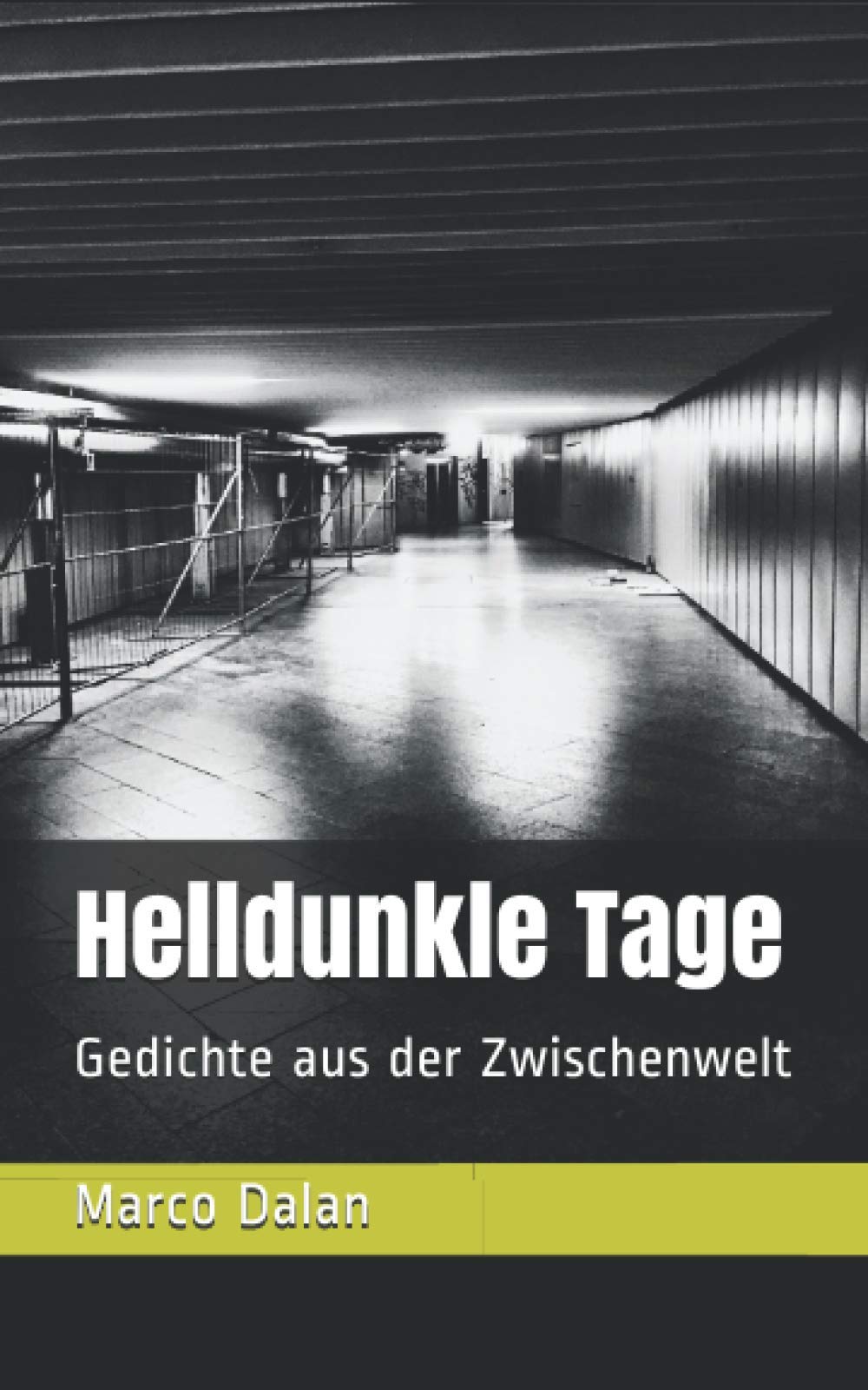 Helldunkle Tage: Gedichte aus der Zwischenwelt Contemporary literature