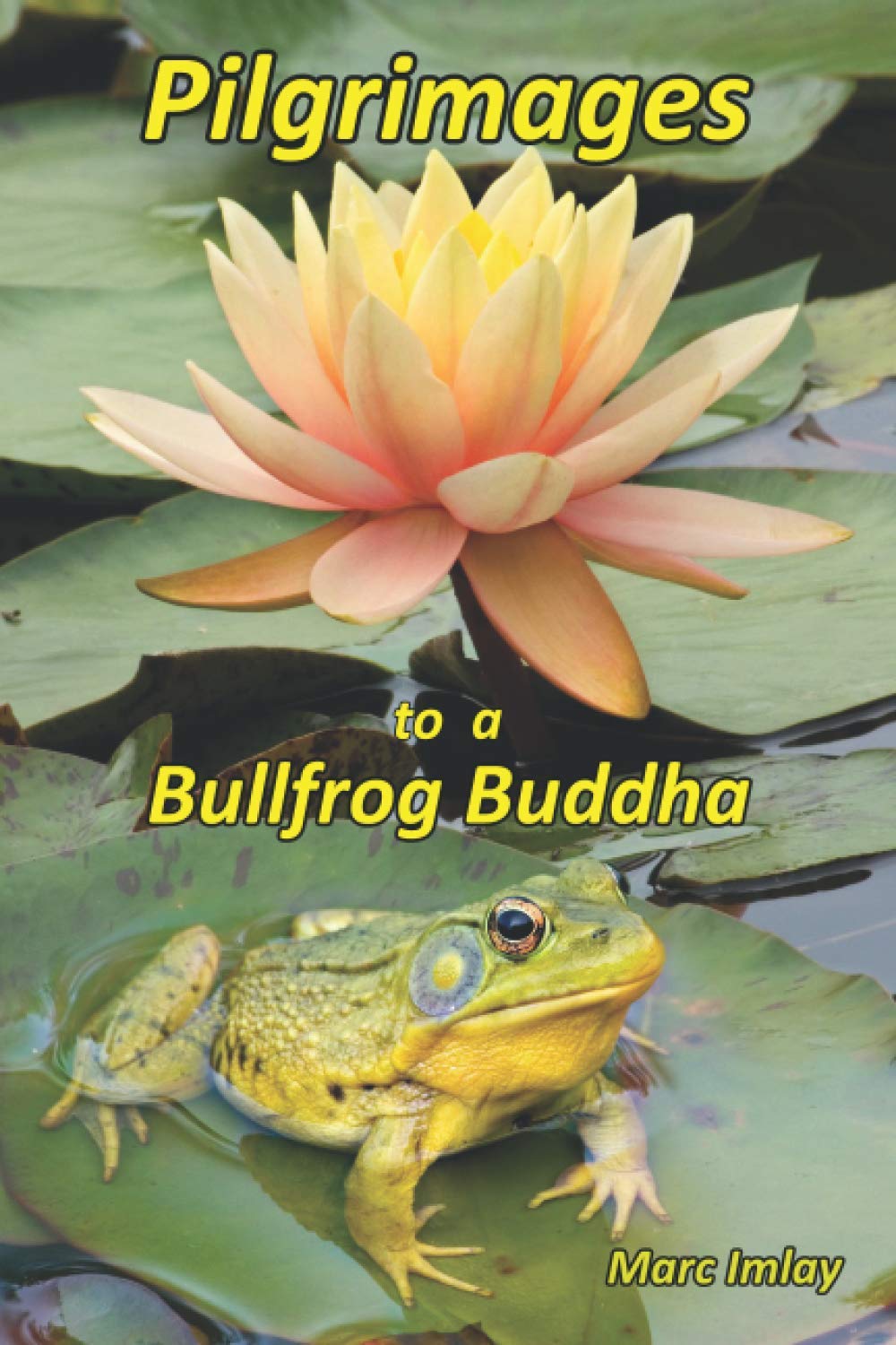 Pilgrimages To A Bullfrog Buddha Books
