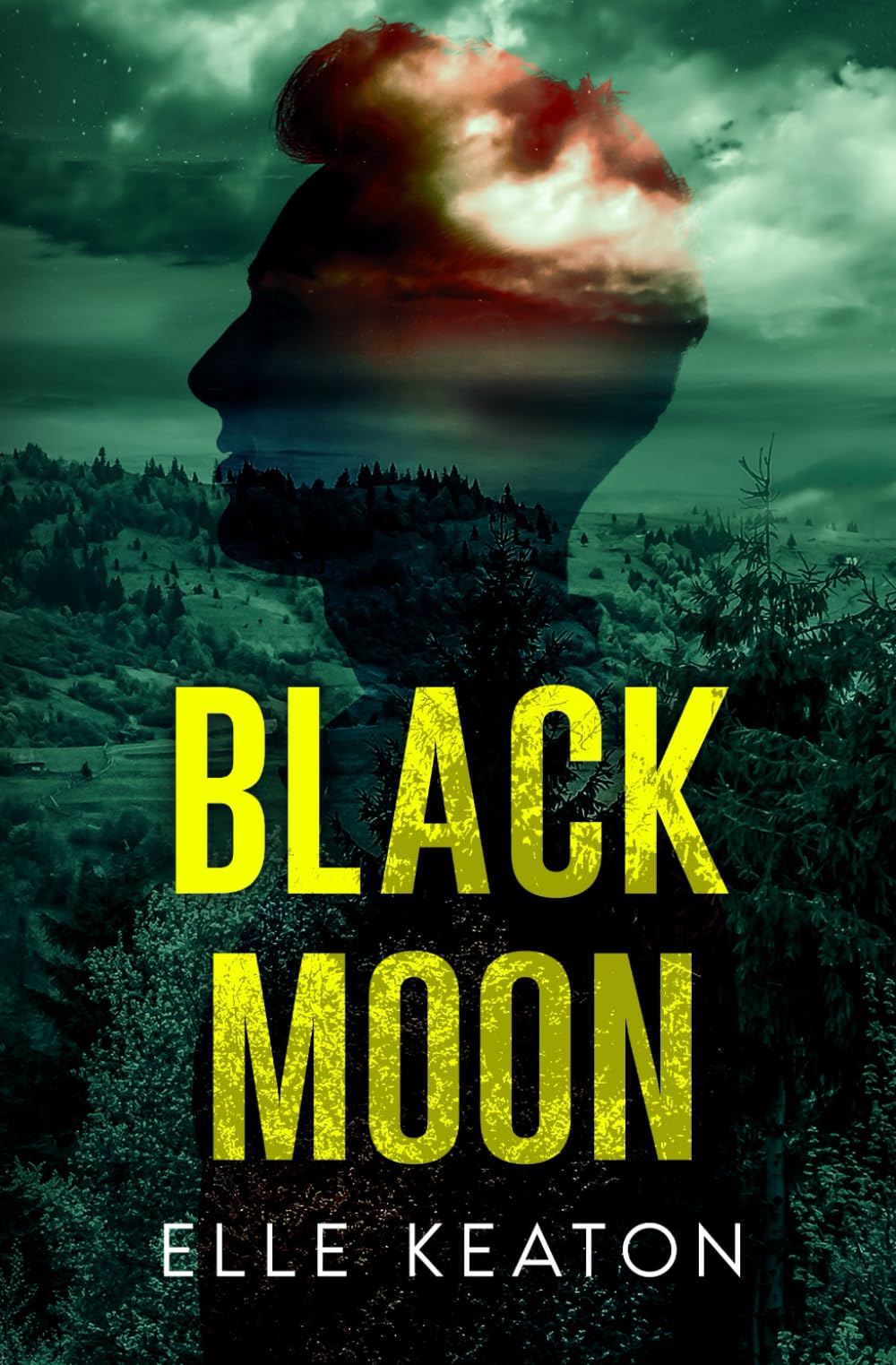 Black Moon: MM Romantic Suspense (Veiled Intentions, Band 3) LGBTQ+