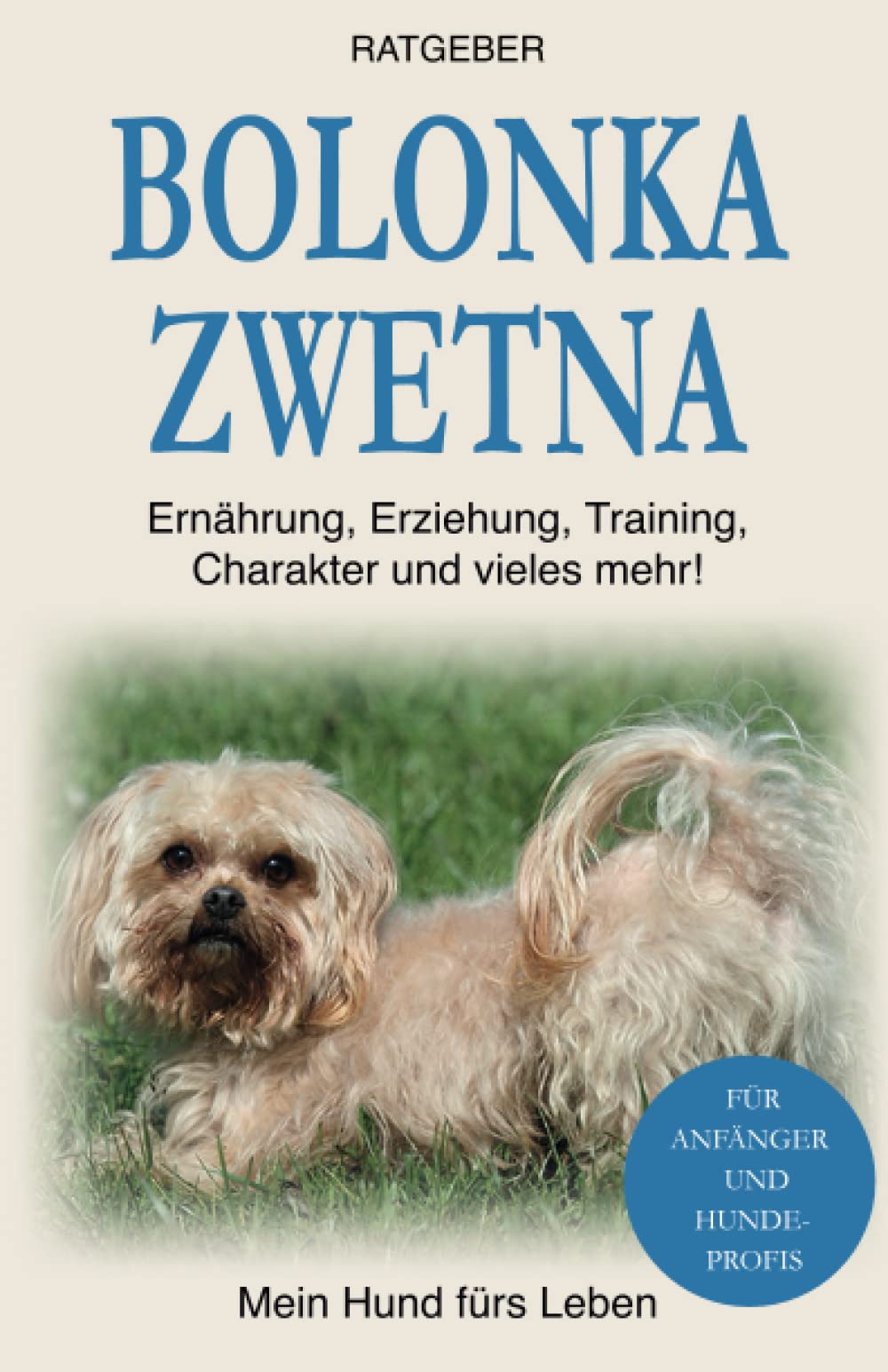 Bolonka Zwetna: Erziehung, Training und Charakter von Bolonka Zwetna Pets