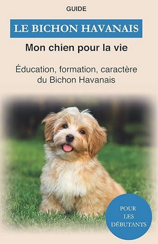 Le Bichon Havanais: Éducation, formation, caractère du Bichon Havanais Pets