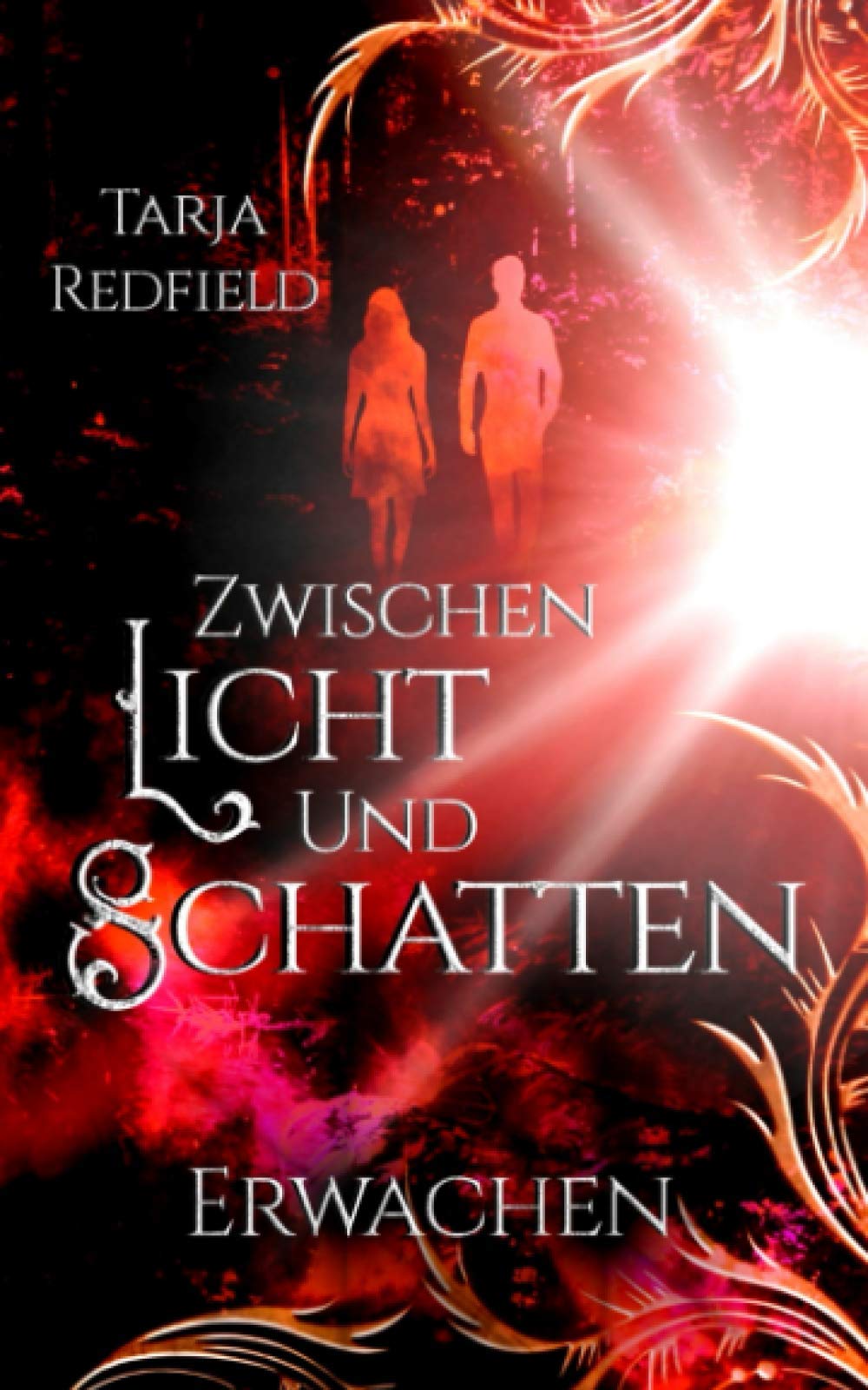 Zwischen Licht und Schatten: Erwachen Novels & Short Stories