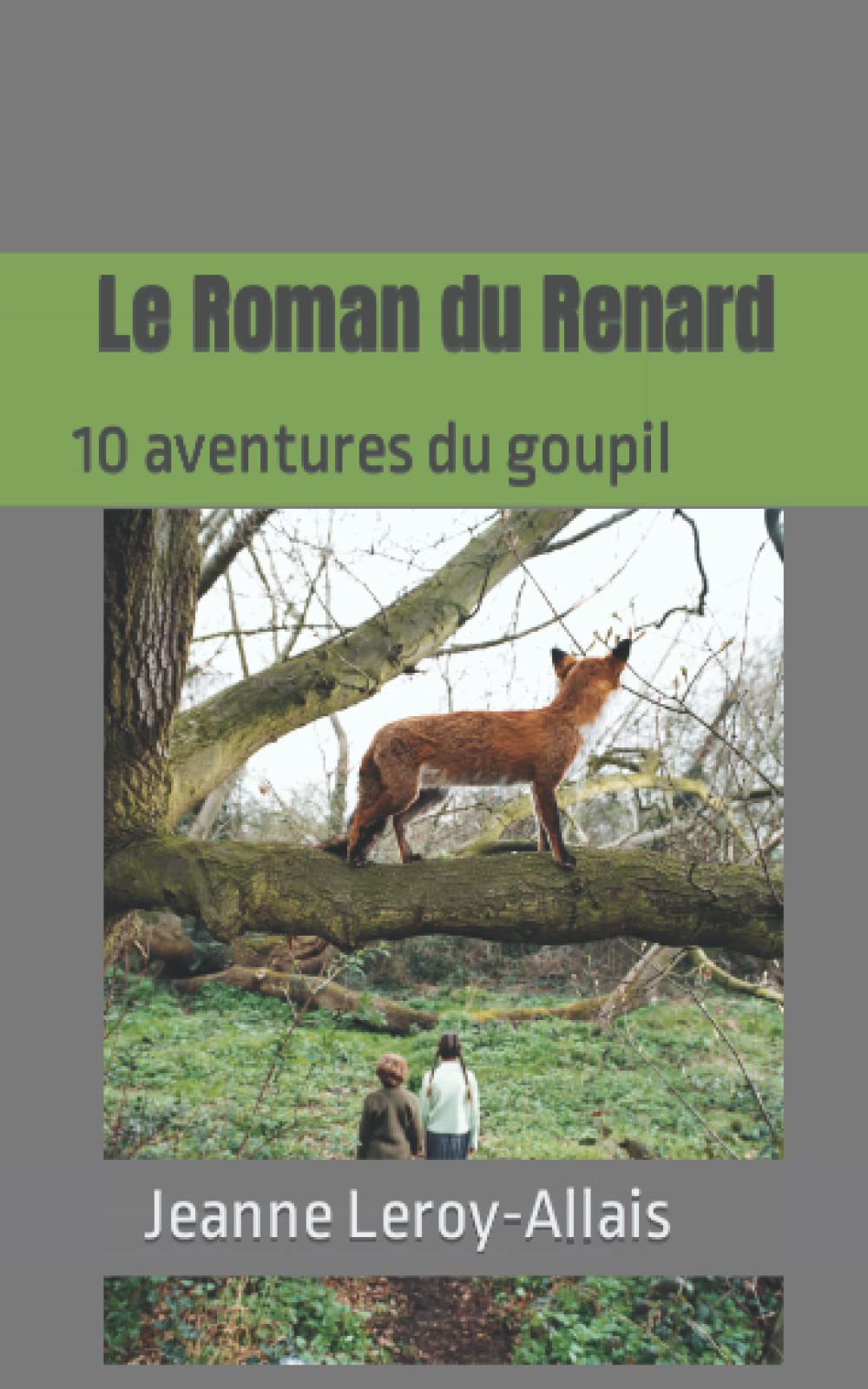 Le Roman du Renard: 10 aventures du goupil book