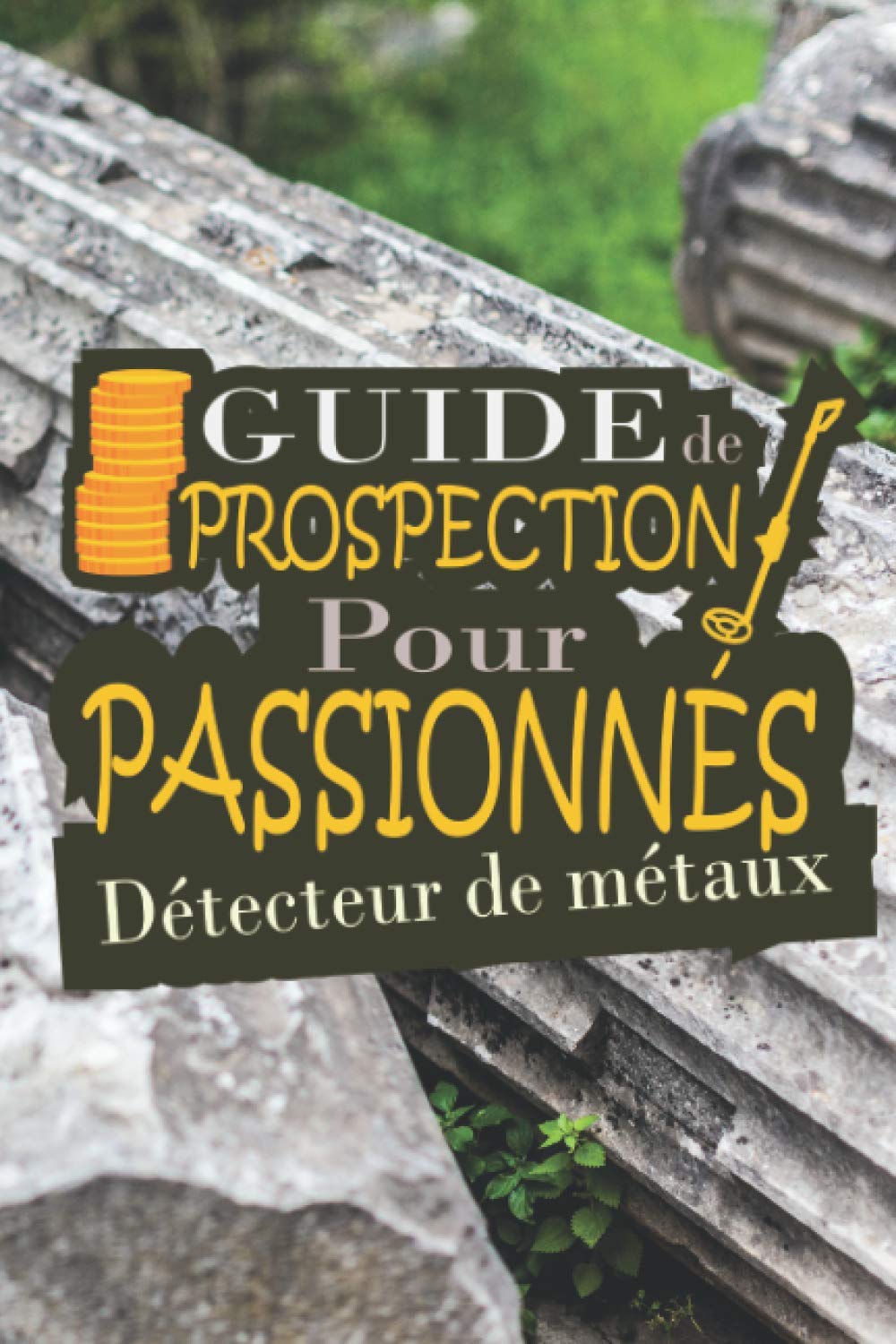 Guide de prospection pour passionnés détecteur de métaux: Livre détection de métaux à remplir | Tout noter sur vos sorties book