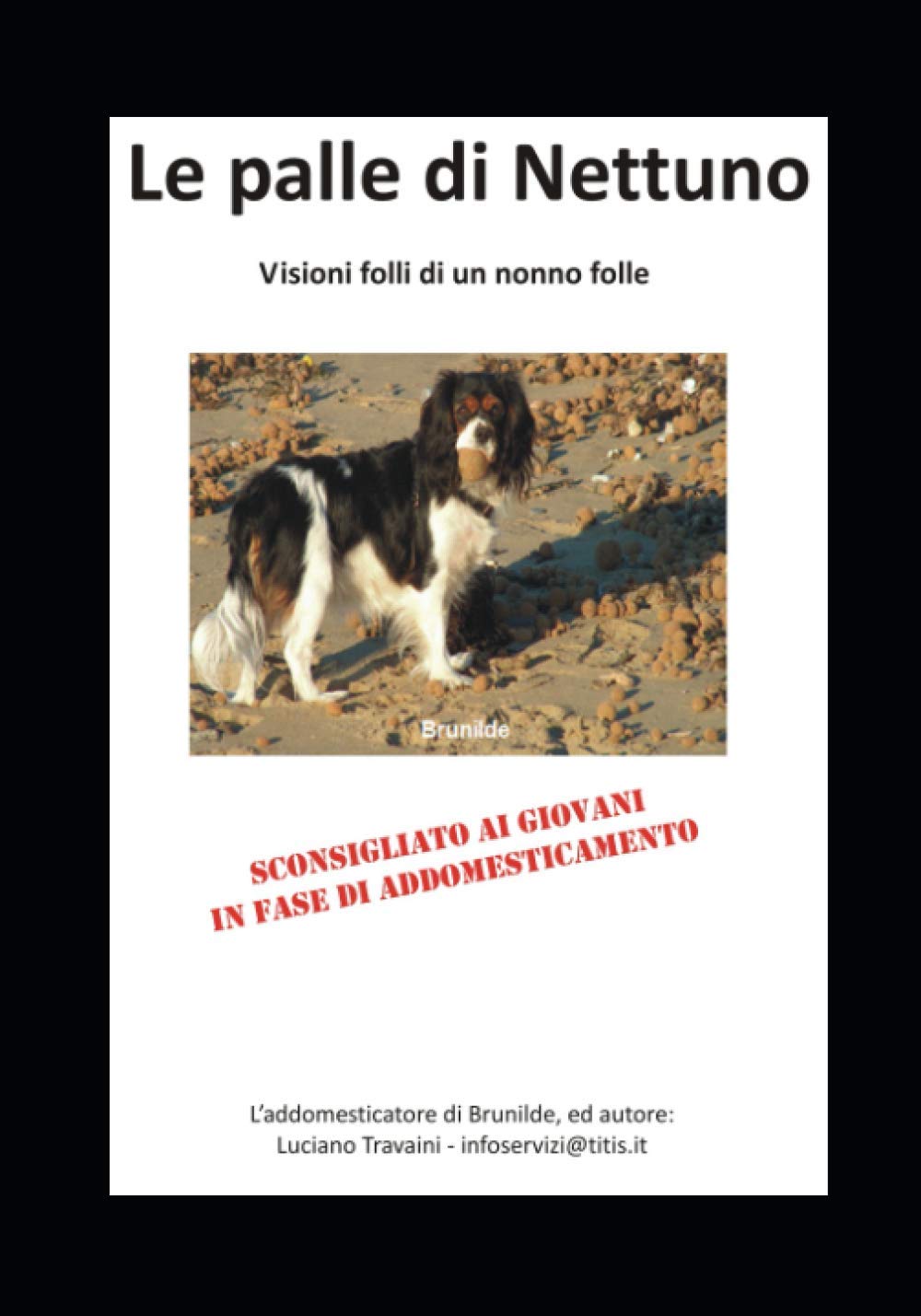 Le palle di Nettuno: Visioni folli di un nonno folle book