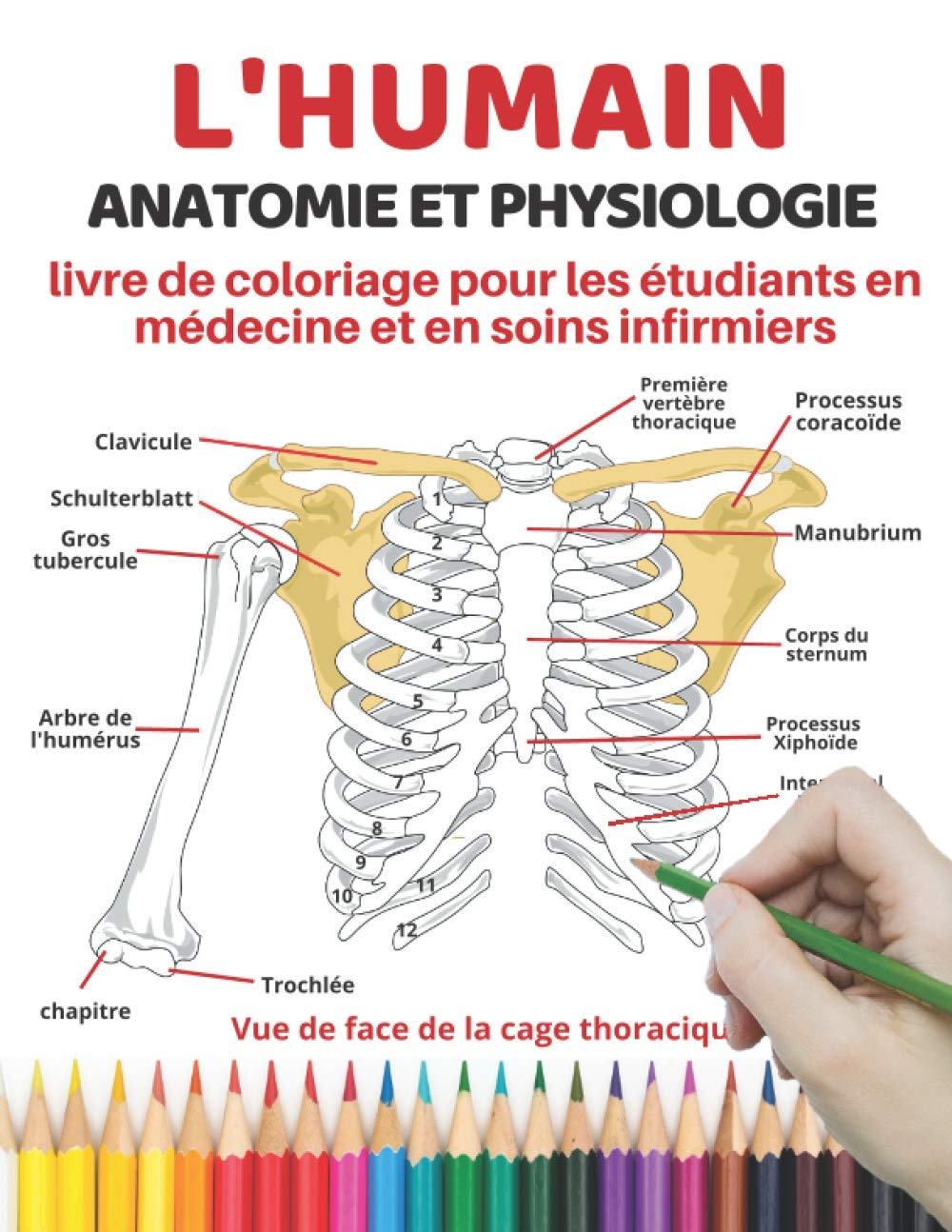 L'humain Anatomie et physiologie livre de coloriage pour les étudiants en médecine et en soins infirmiers: Moyen facile et efficace d'apprendre, ... étudiants en médecine et en soins infirmiers Medicine