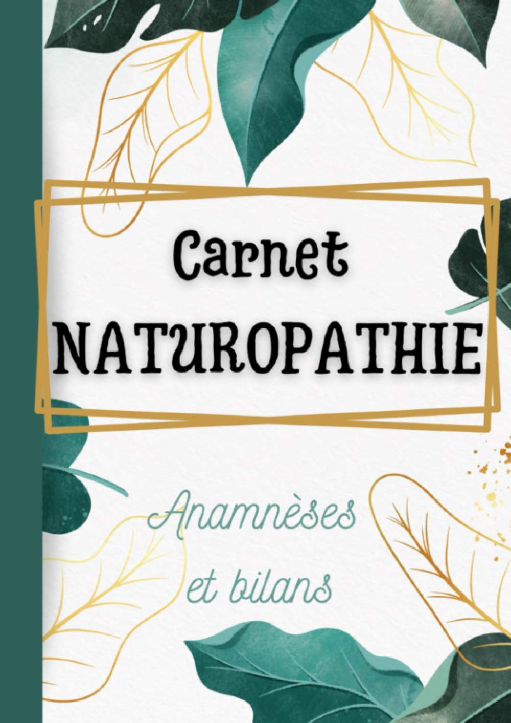 Carnet naturopathie anamnèses et bilans: pour 100 fiches patients préremplies - format 21*29.7 book