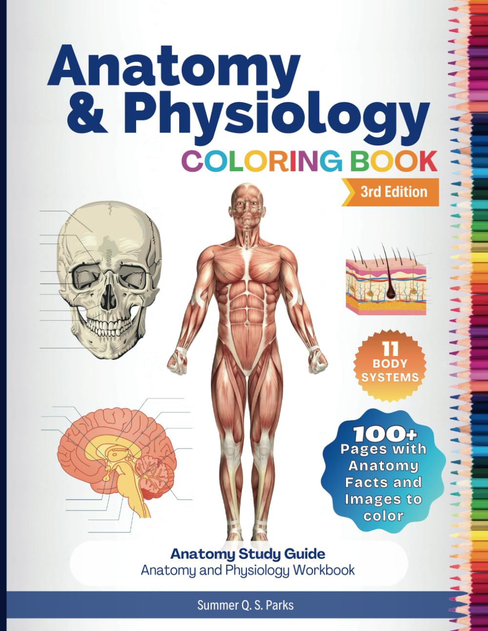 Anatomy and Physiology Coloring Book: Anatomy Study Guide. Anatomy and Physiology Workbook Medicine