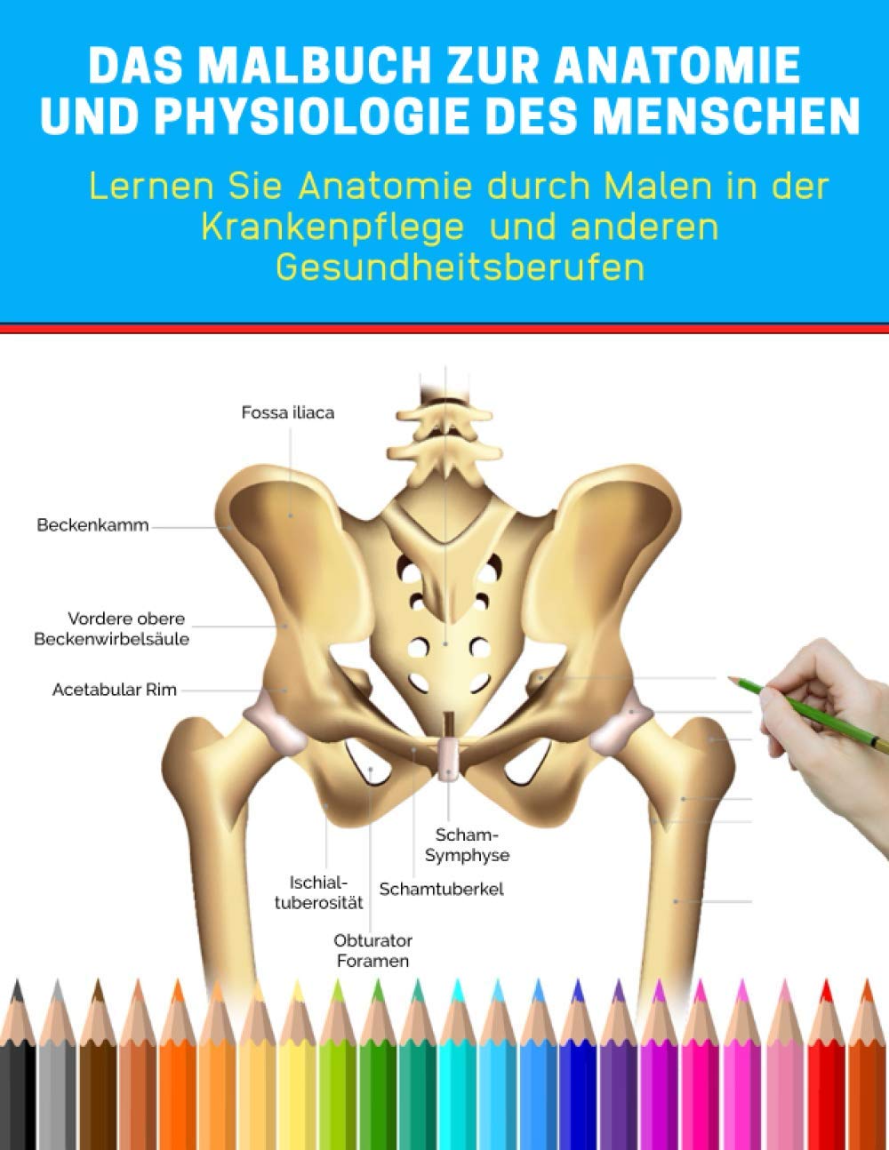 Das Malbuch zur Anatomie und Physiologie des Menschen - Lernen Sie Anatomie durch Malen in der Krankenpflege und anderen Gesundheitsberufen: Anatomie ... und andere Gesundheitsberufe Medicine