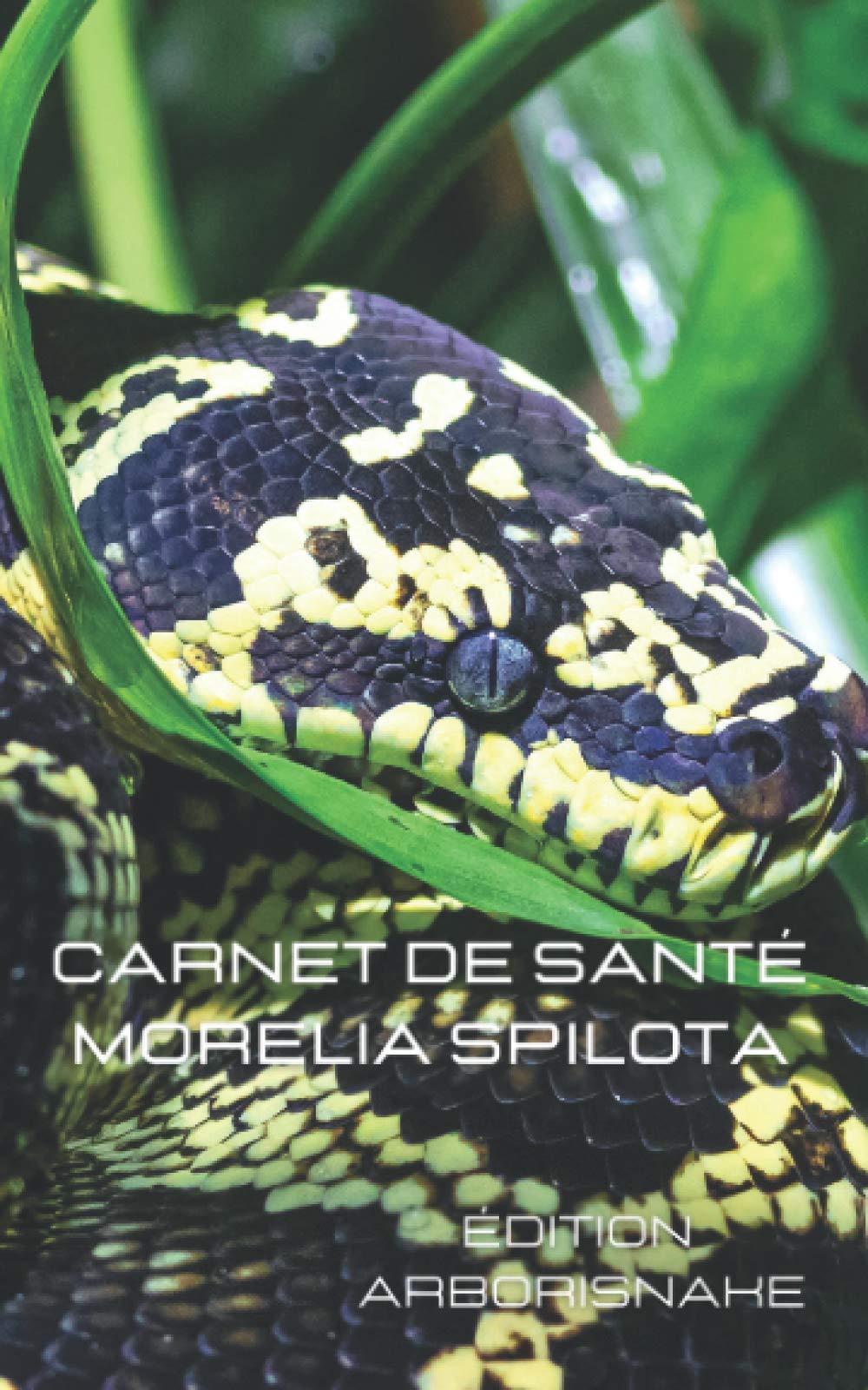 carnet de santé Morelia Spilota Pets