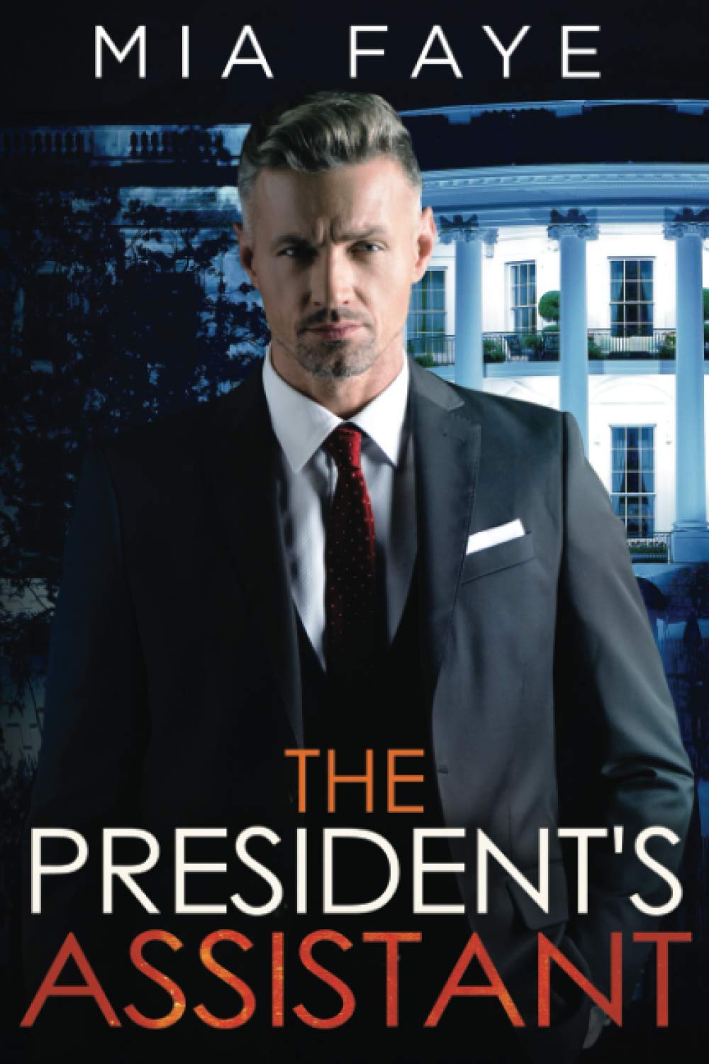 The President's Assistant: An Enemies to Lovers Romance (The Bosshole Series) Contemporary literature
