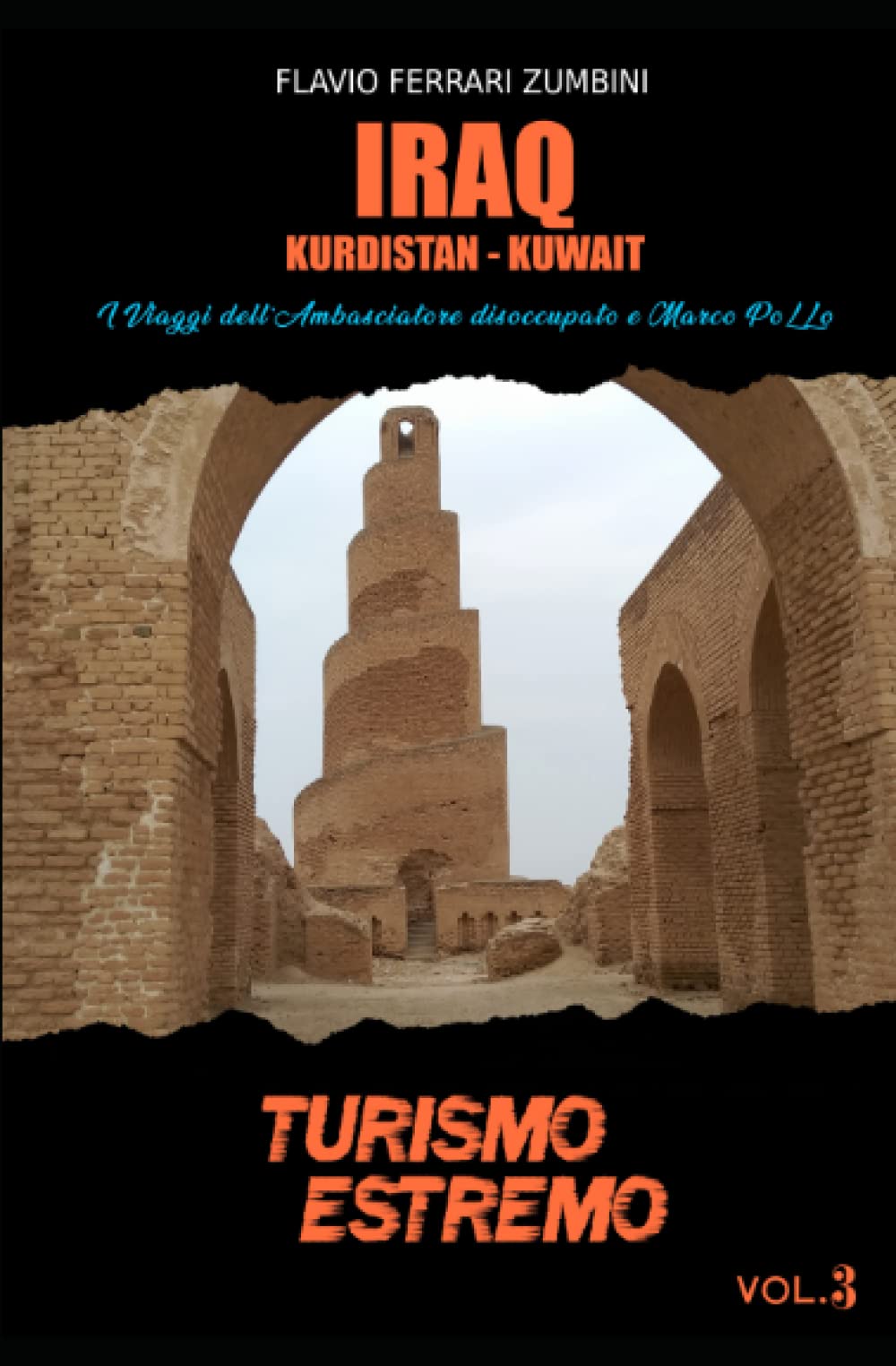 Iraq: I viaggi dell'Ambasciatore disoccupato e Marco PoLLo book