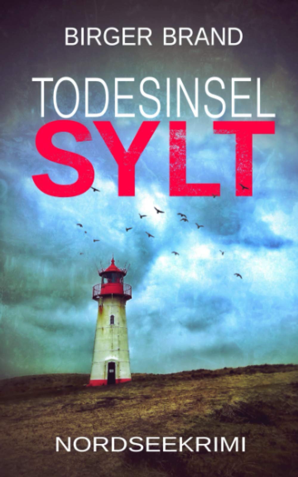 Todesinsel Sylt: Nordseekrimi (Jenny Arens, Band 2) Contemporary literature