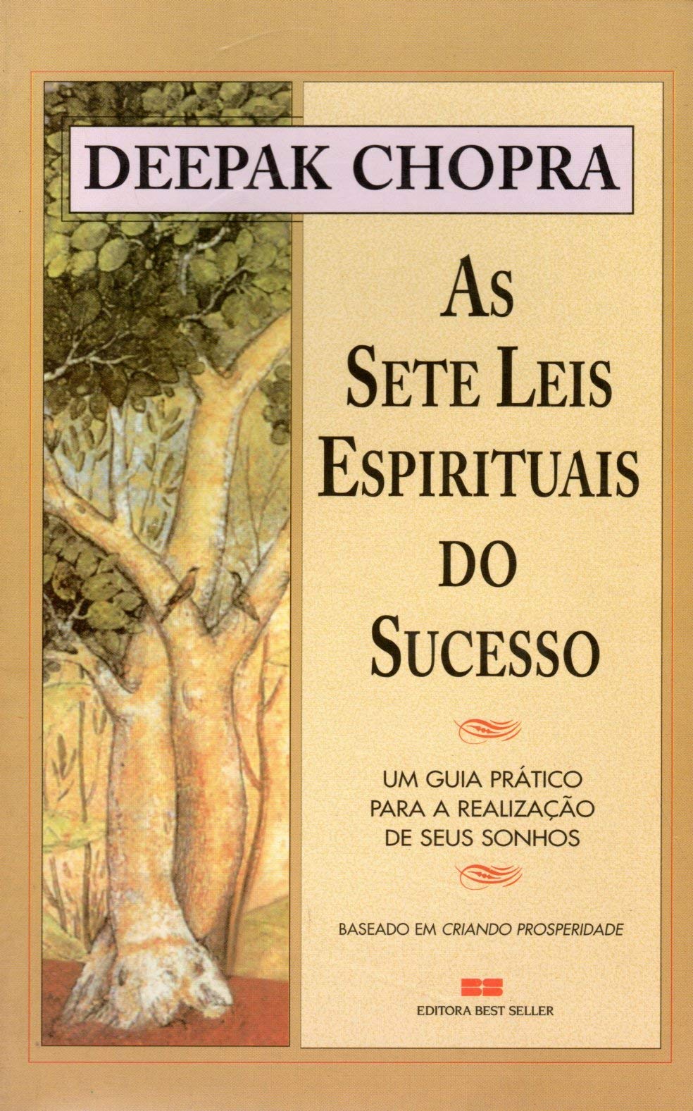 As Sete Leis Espirituais do Sucesso (BOOK) Books