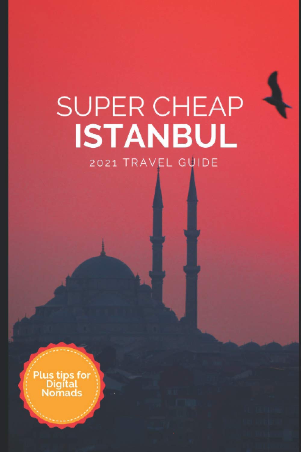 Super Cheap Istanbul Travel Guide 2021: How to Enjoy a $1,000 Trip to Istanbul for $120 book
