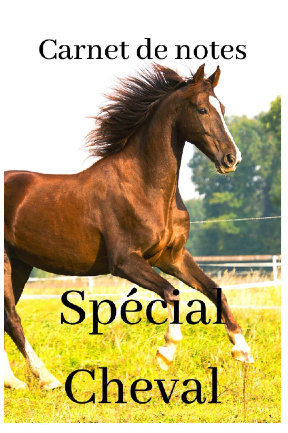 Carnet de Notes Spécial Cheval: Equitation, Sport Equestre, Chevaux, Compétition, Courses book