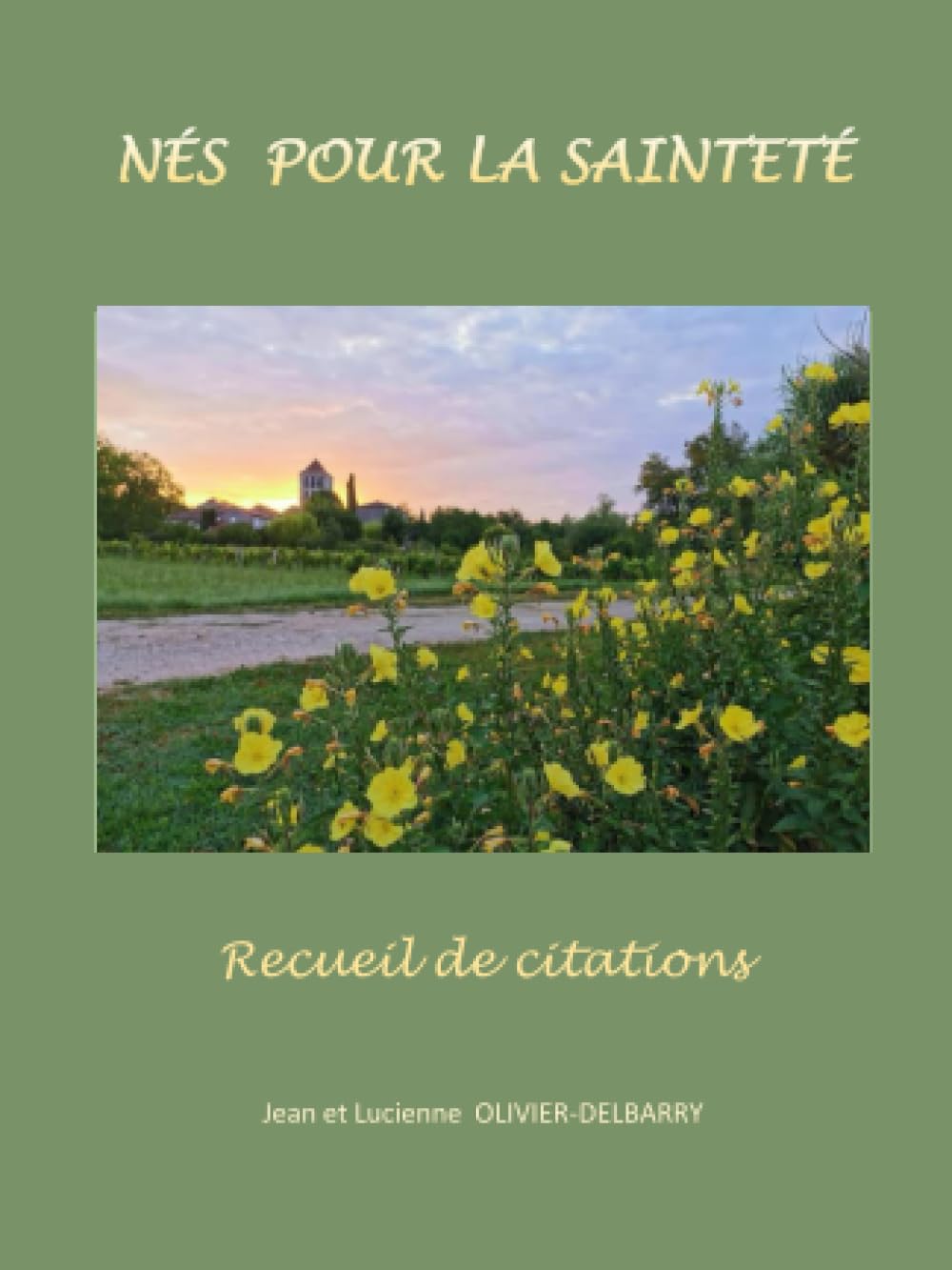 Nés pour la sainteté Books