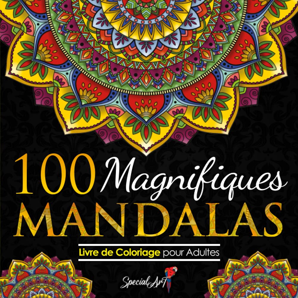 100 Magnifiques Mandalas: Livre de Coloriage pour Adultes, Super Loisir Antistress pour se détendre avec de beaux Mandalas à Colorier Adultes. (Volume 2) book