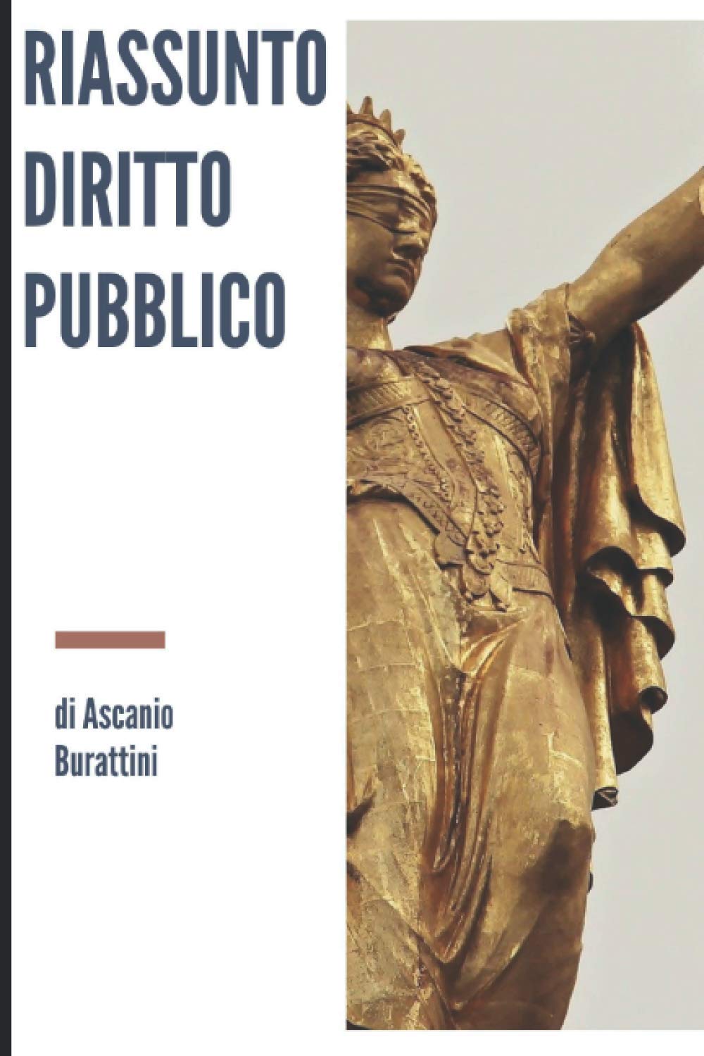 Riassunto Diritto Pubblico: Manuale riassuntivo per lo studio di Istituzioni di Diritto Pubblico book