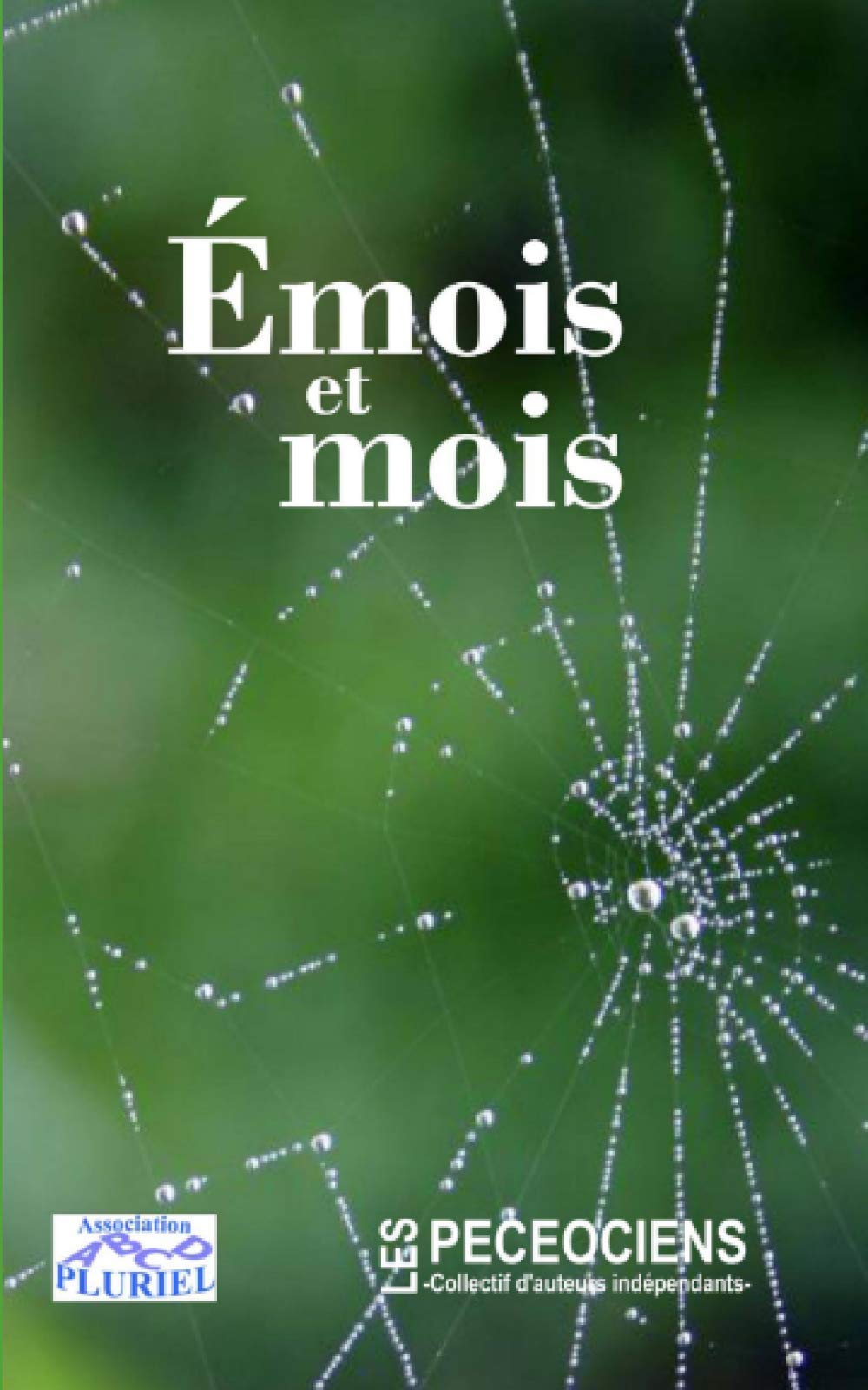 Émois et mois: Recueil de nouvelles Essays & Short Stories