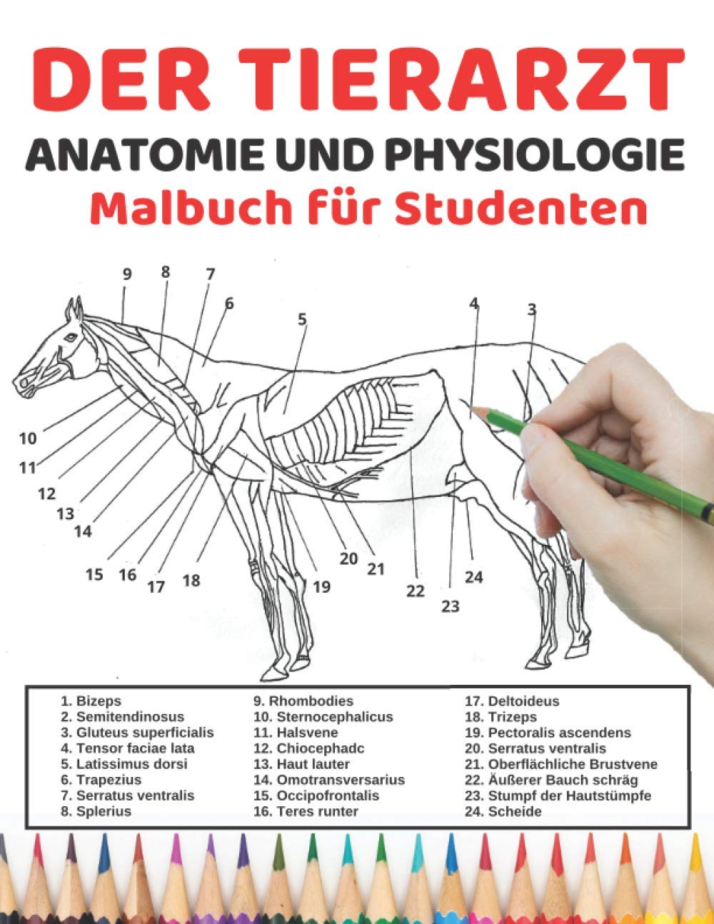 Der Tierarzt Anatomie und Physiologie Malbuch für Studenten: Einfachere und bessere Möglichkeit, Anatomie, Tieranatomie und Physiologie zu lernen ... für Veterinärstudenten und sogar Erwachsene Medicine