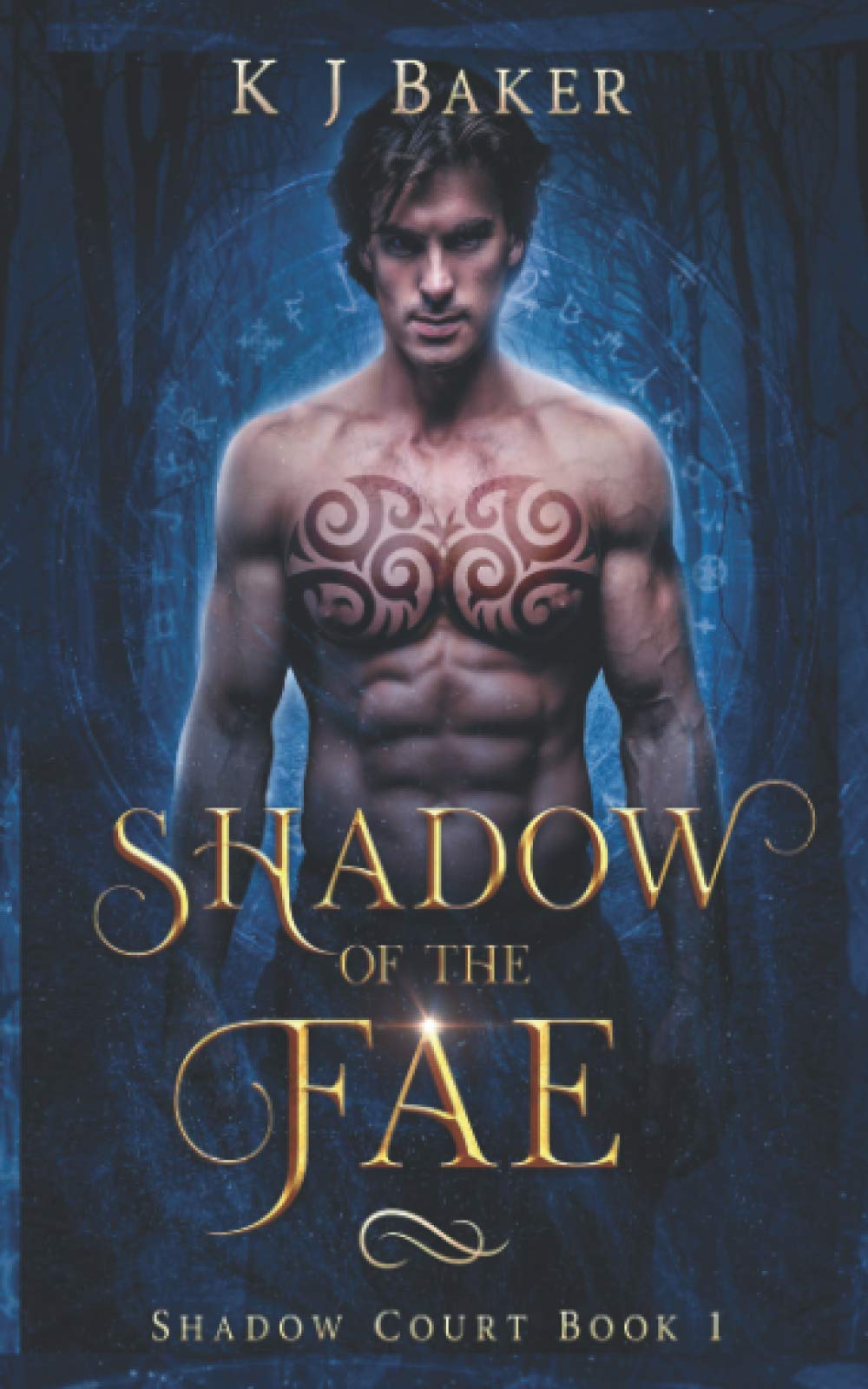 Shadow of the Fae: A Fated Mates Fae Romance book