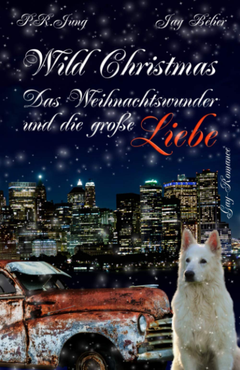 Wild Christmas: Das Weihnachtswunder und die große Liebe LGBTQ+