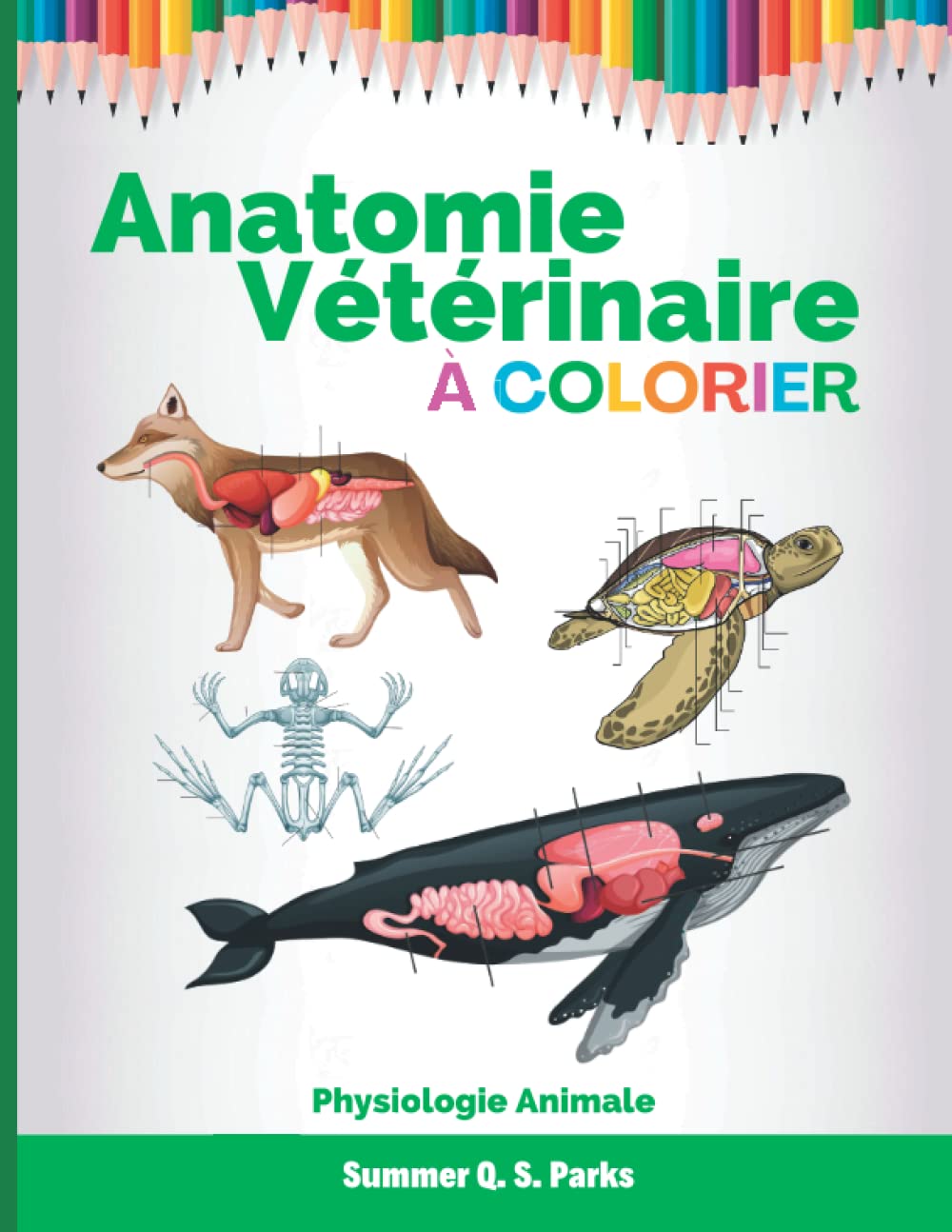 Anatomie Vétérinaire à Colorier: Physiologie Animale Medicine