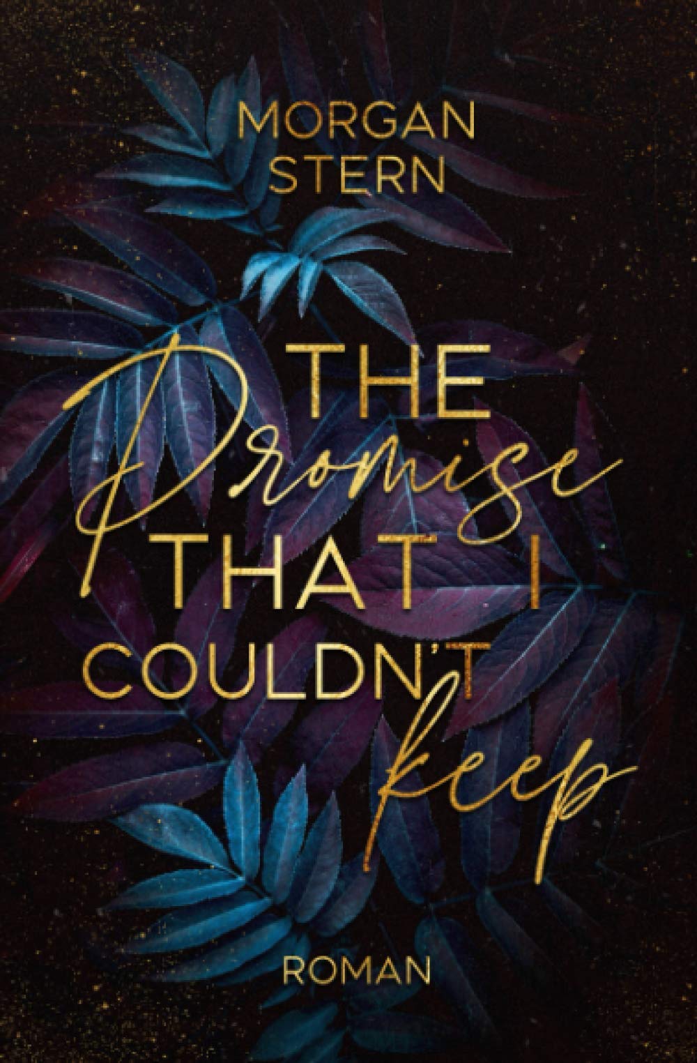 The Promise that I couldn't keep book