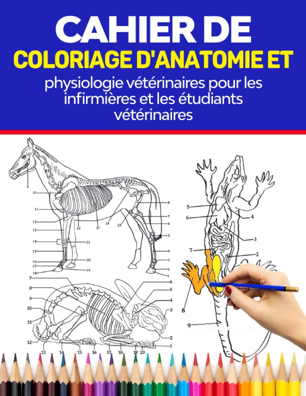 Cahier de coloriage d'anatomie et de physiologie vétérinaires pour les infirmières et les étudiants vétérinaires: avec des chiens, des chats, des ... et étudiants vétérinaires, adultes book
