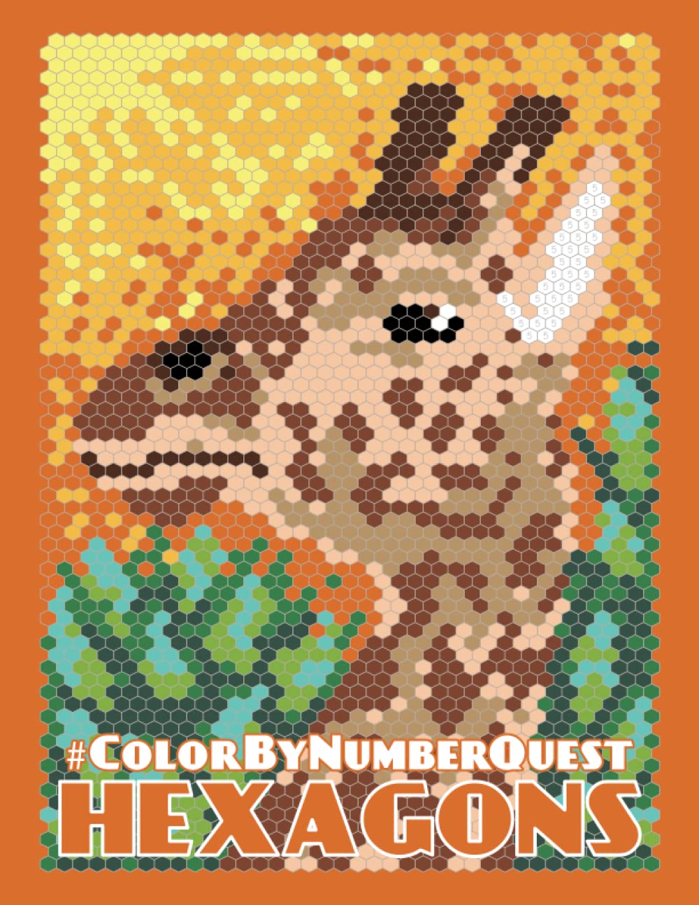 Color By Number Quest: HEXAGONS book