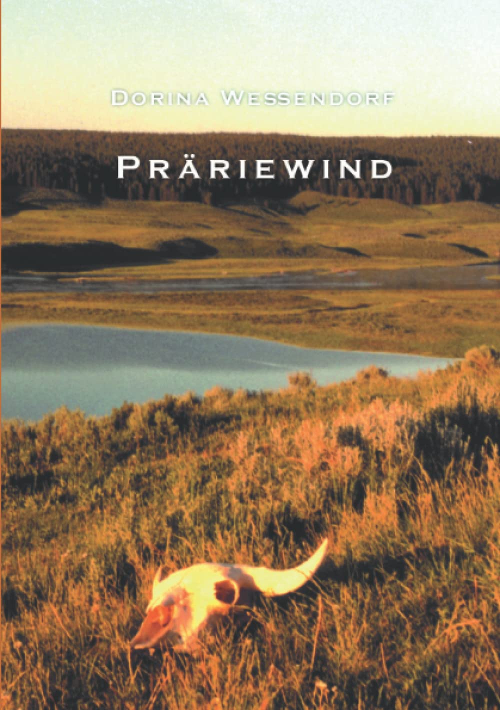 Präriewind Contemporary literature