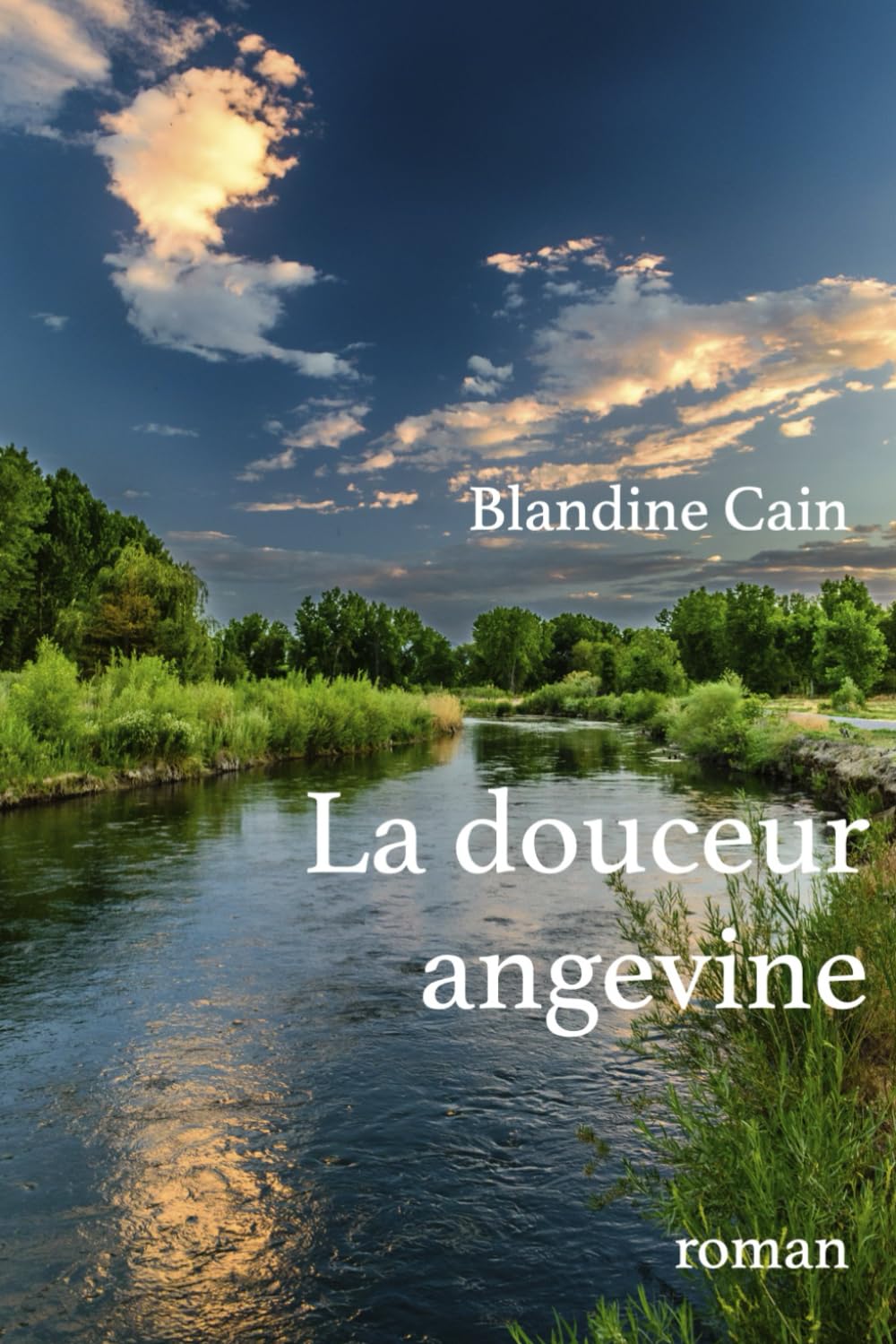 La douceur angevine: roman book