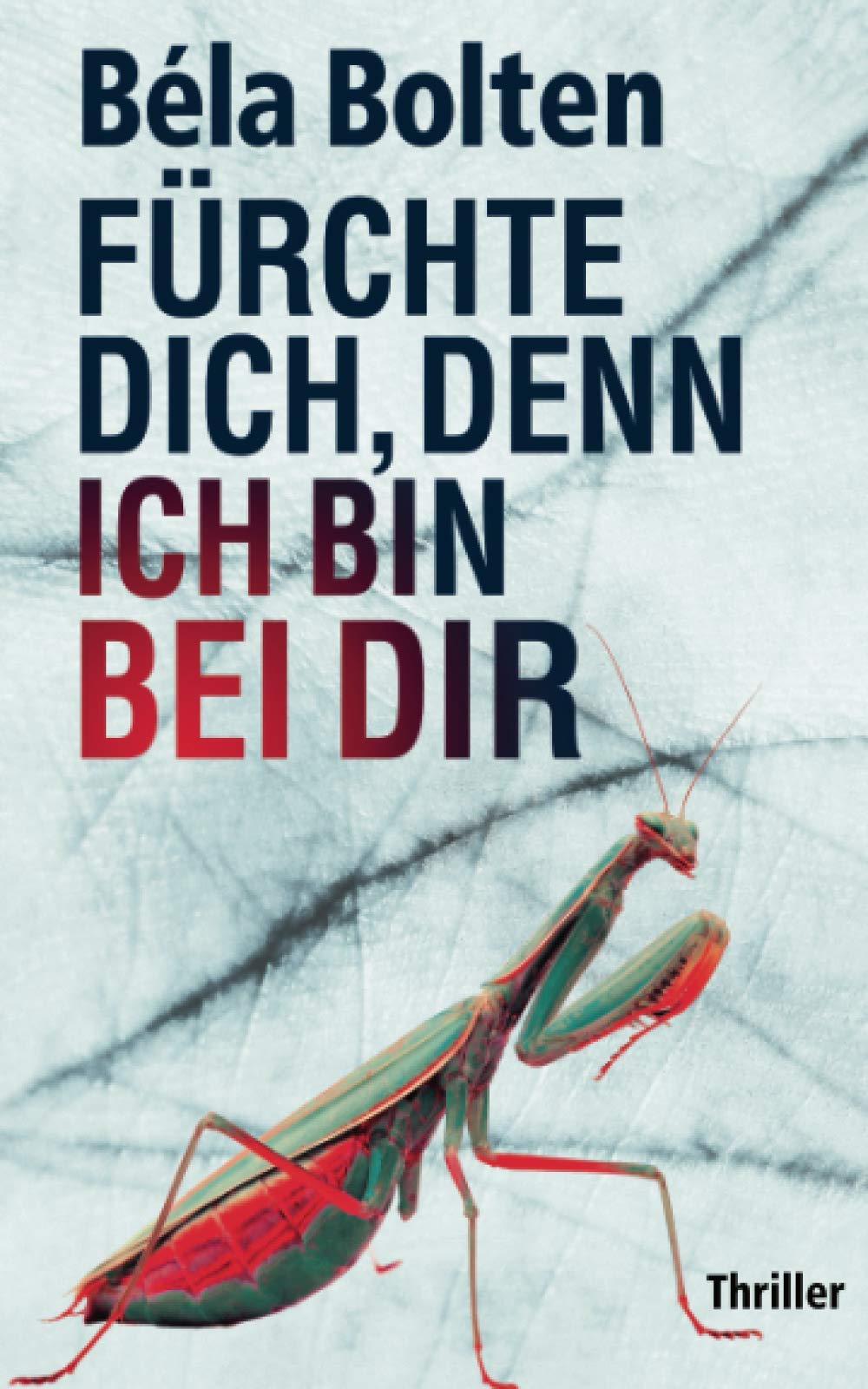 Fürchte dich, denn ich bin bei dir: Thriller book