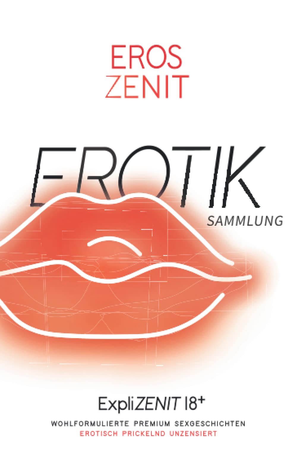 ZENIT EROTIK - Premium Sexgeschichten - Sammlung: Erotisch Prickelnd Unzensiert - 18+ (ExpliZENIT Sammlung) Contemporary literature Books