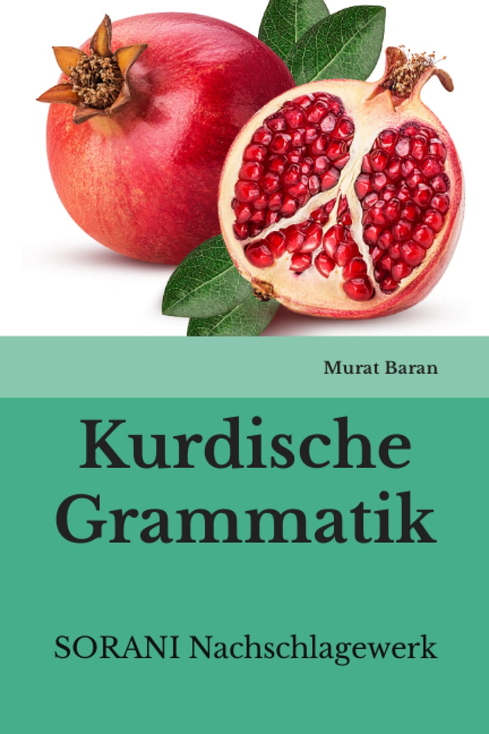 Kurdische Grammatik: SORANI Nachschlagewerk Foreign Languages ​​& Dictionaries