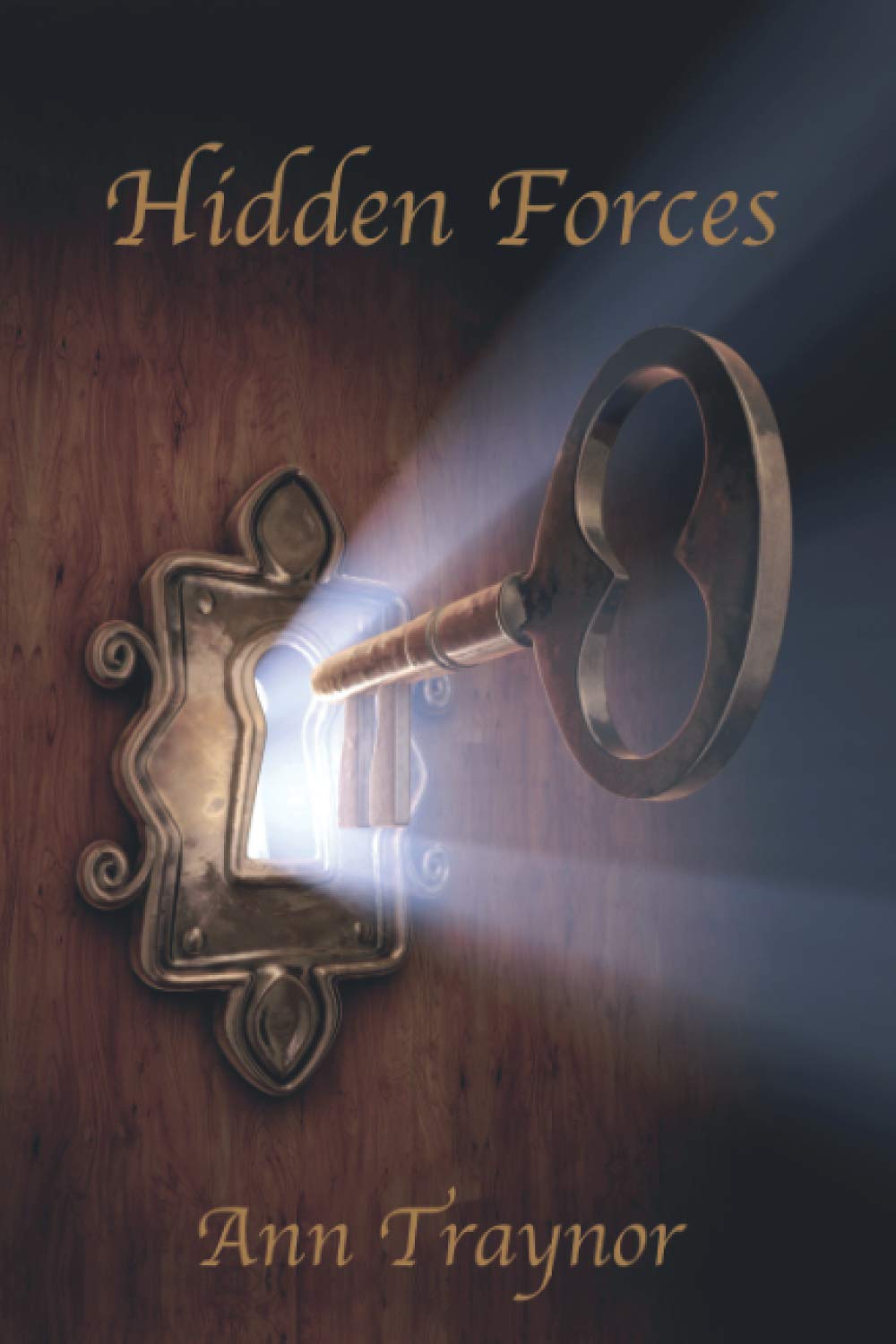 Hidden Forces: Will take you out of dark places into the light of understanding. book