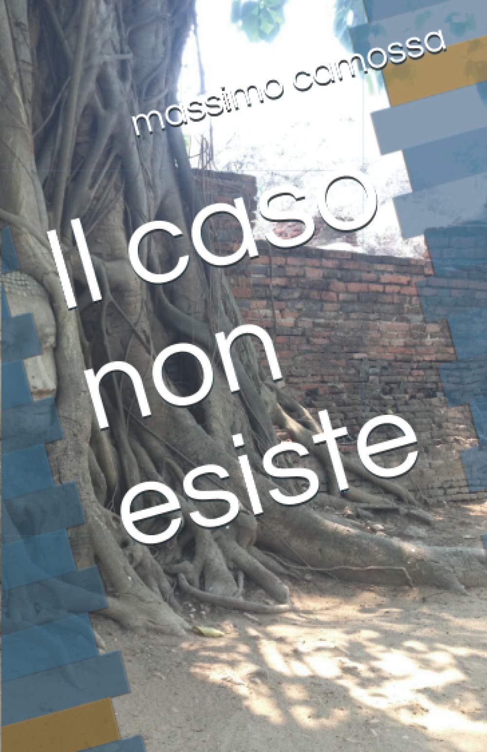 Il caso non esiste: Una storia di Santo Beretta Contemporary literature