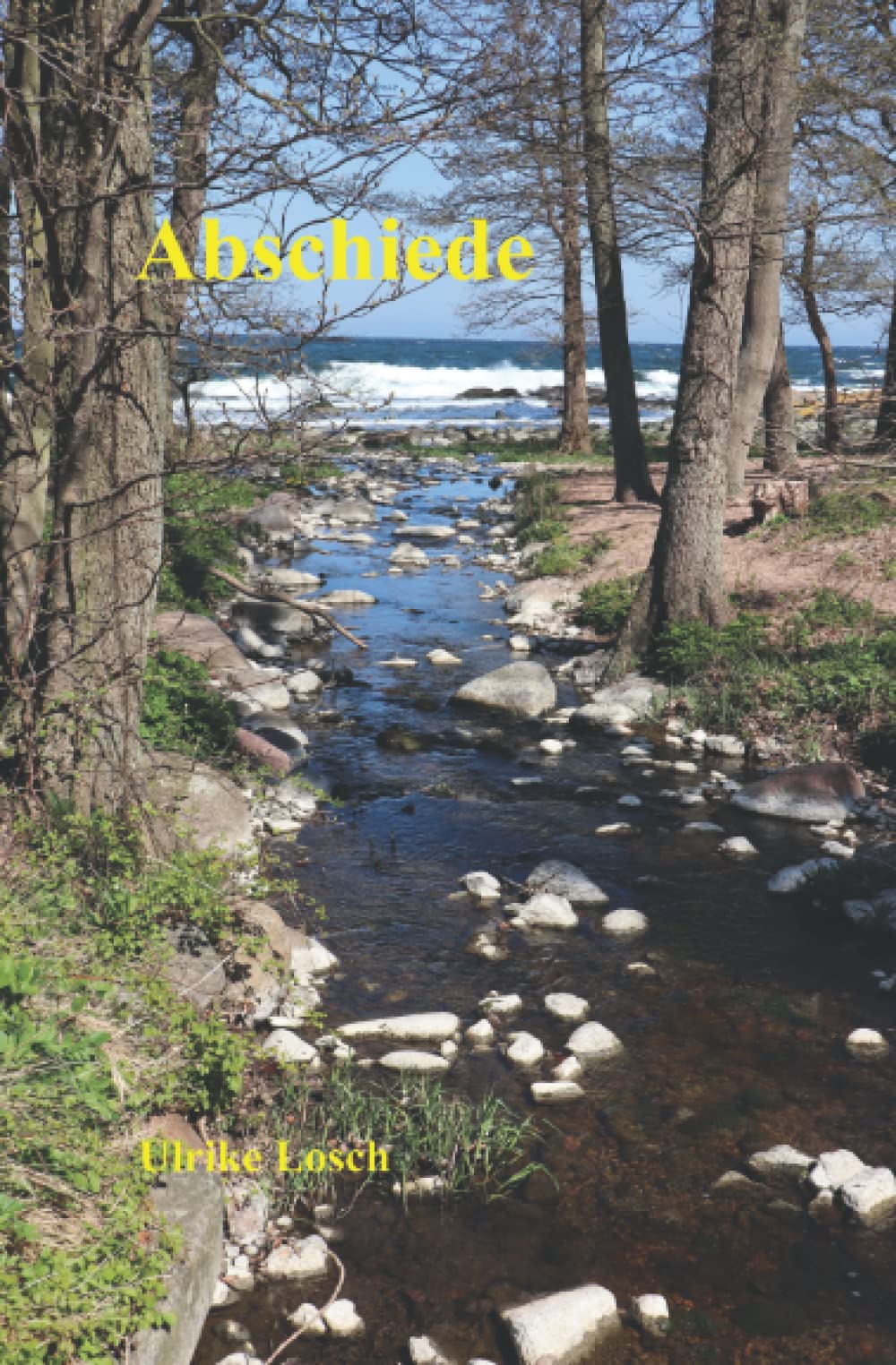 Abschiede (Dr. Susanne Sanftleben, Band 2) Contemporary literature