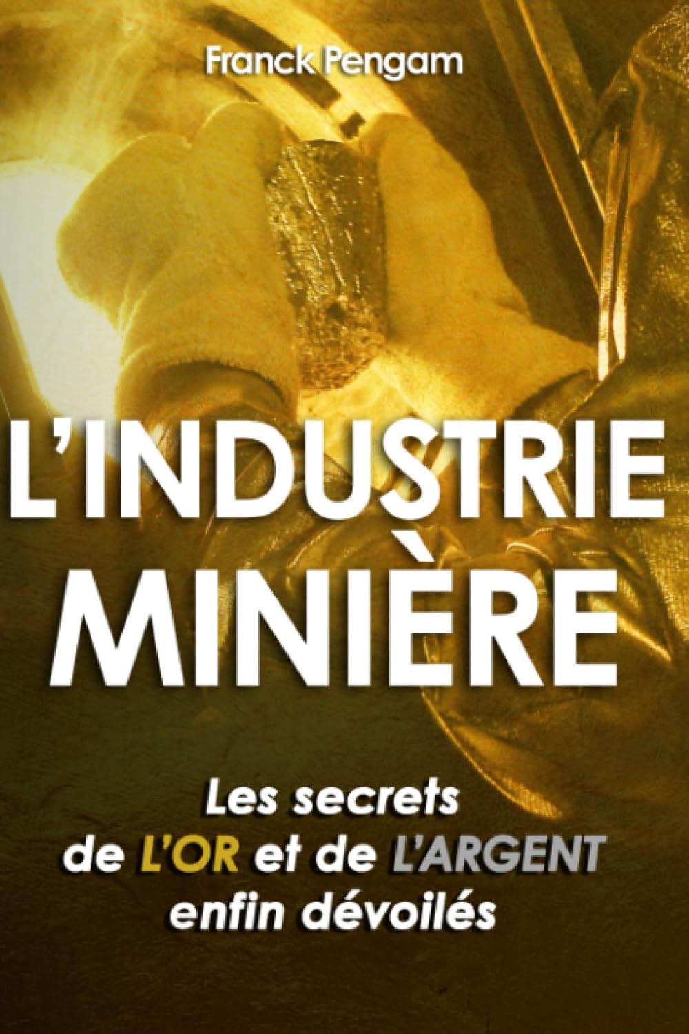 L’INDUSTRIE MINIÈRE: LES SECRETS DE L’OR ET DE L’ARGENT ENFIN DEVOILÉS book