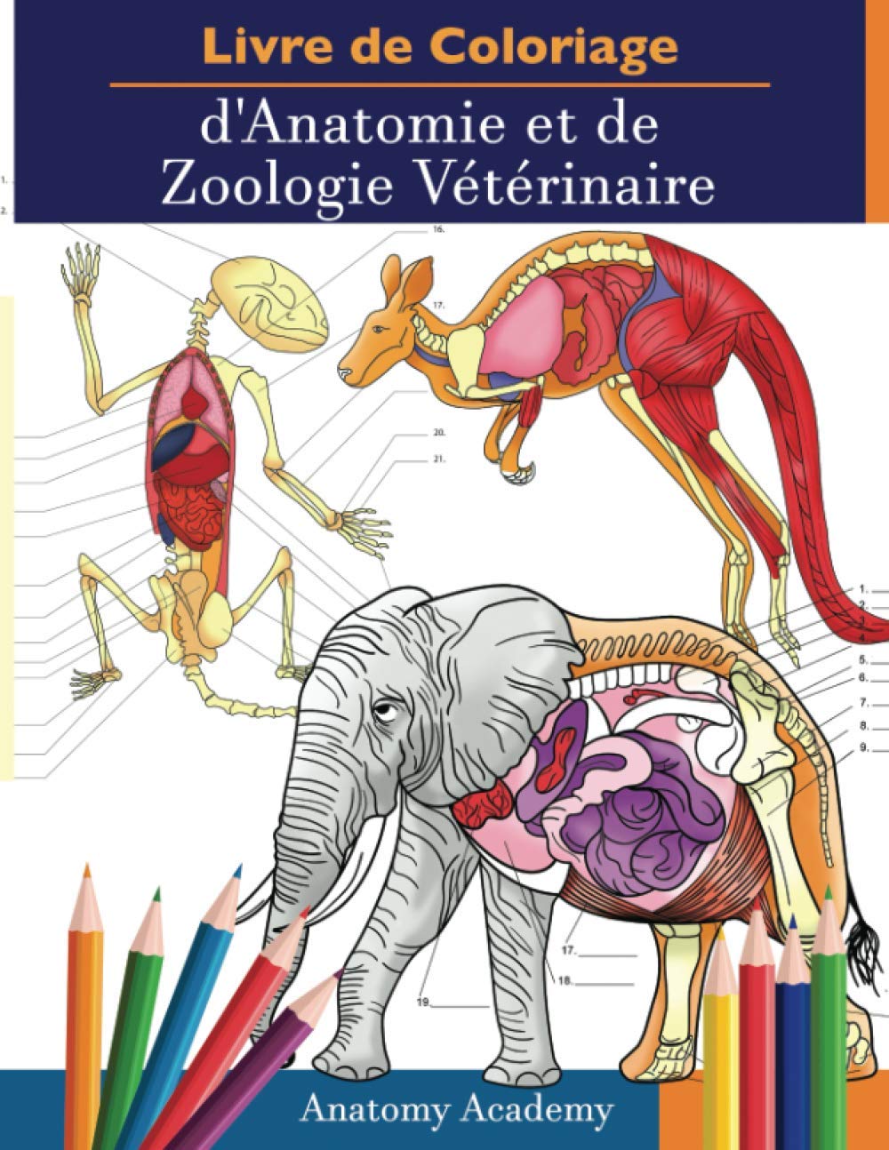 Livre de Coloriage d'Anatomie et de Zoologie Vétérinaire: 2-en-1 Compilation | Cahier d'Exercices d'Anatomie Animale Incroyablement Détaillé | Cadeau ... Vétérinaire et les Amoureux des Animaux Medicine