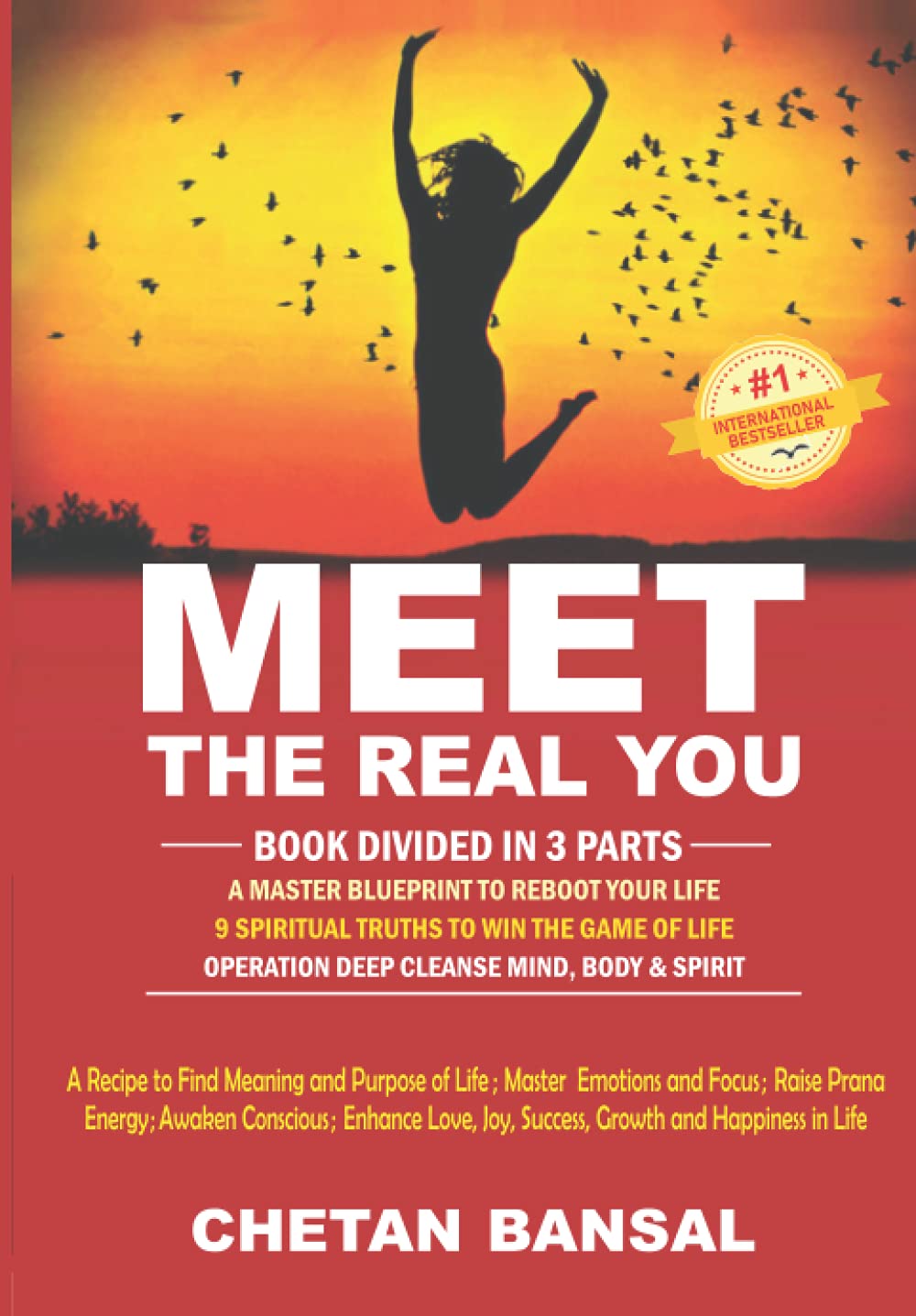 MEET THE REAL YOU: A Recipe To Find Meaning and Purpose of Life; Master Emotions and Focus; Raise Prana Energy; Awaken Conscious; Enhance Love, Joy, Success, Growth and Happiness in Life Philosophy
